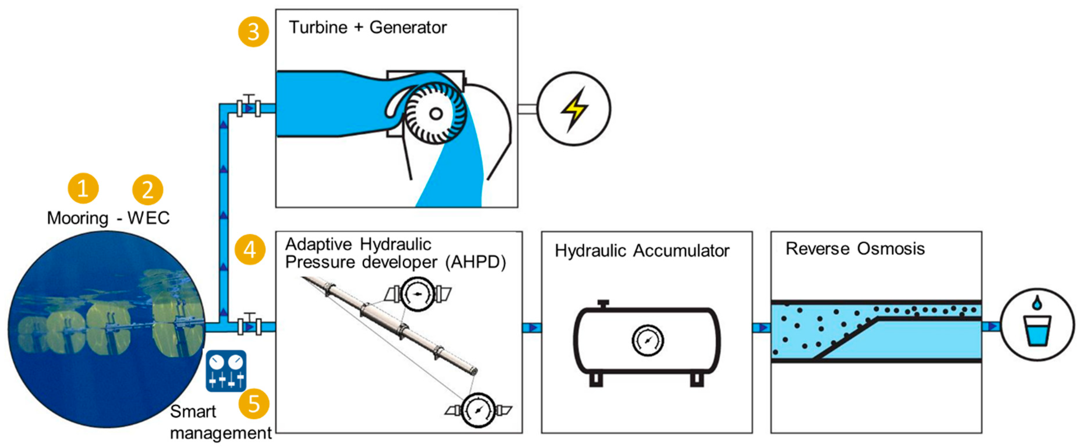 Proceedings 20 00010 g001