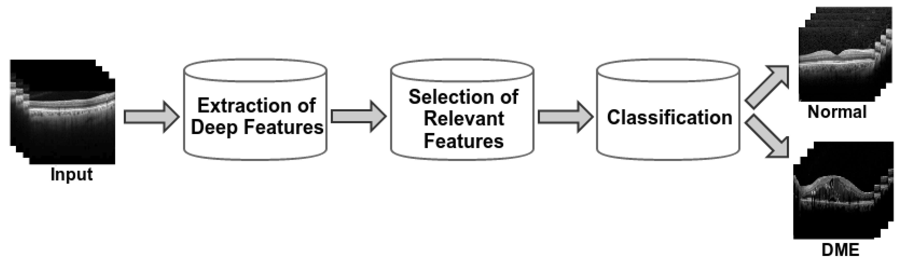 Proceedings 21 00016 g002