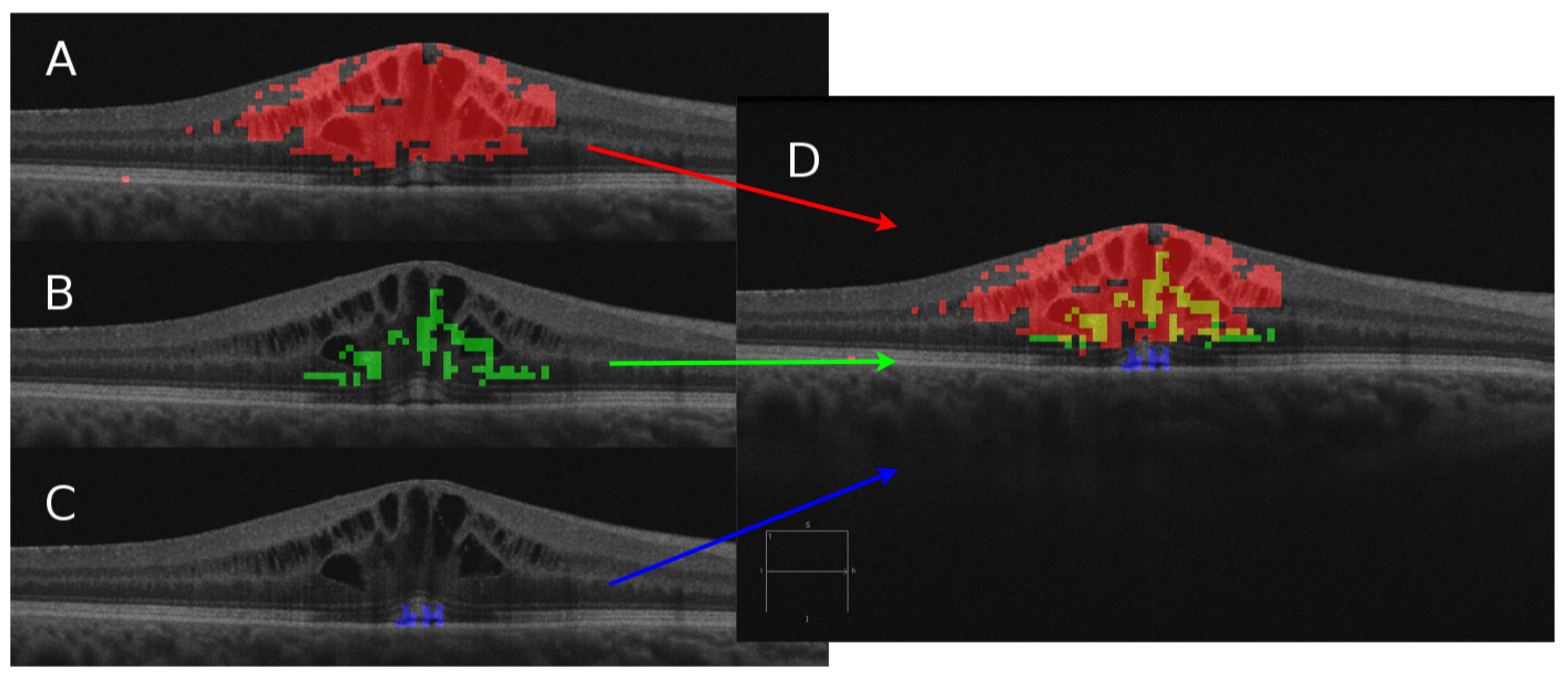 Proceedings 21 00036 g001