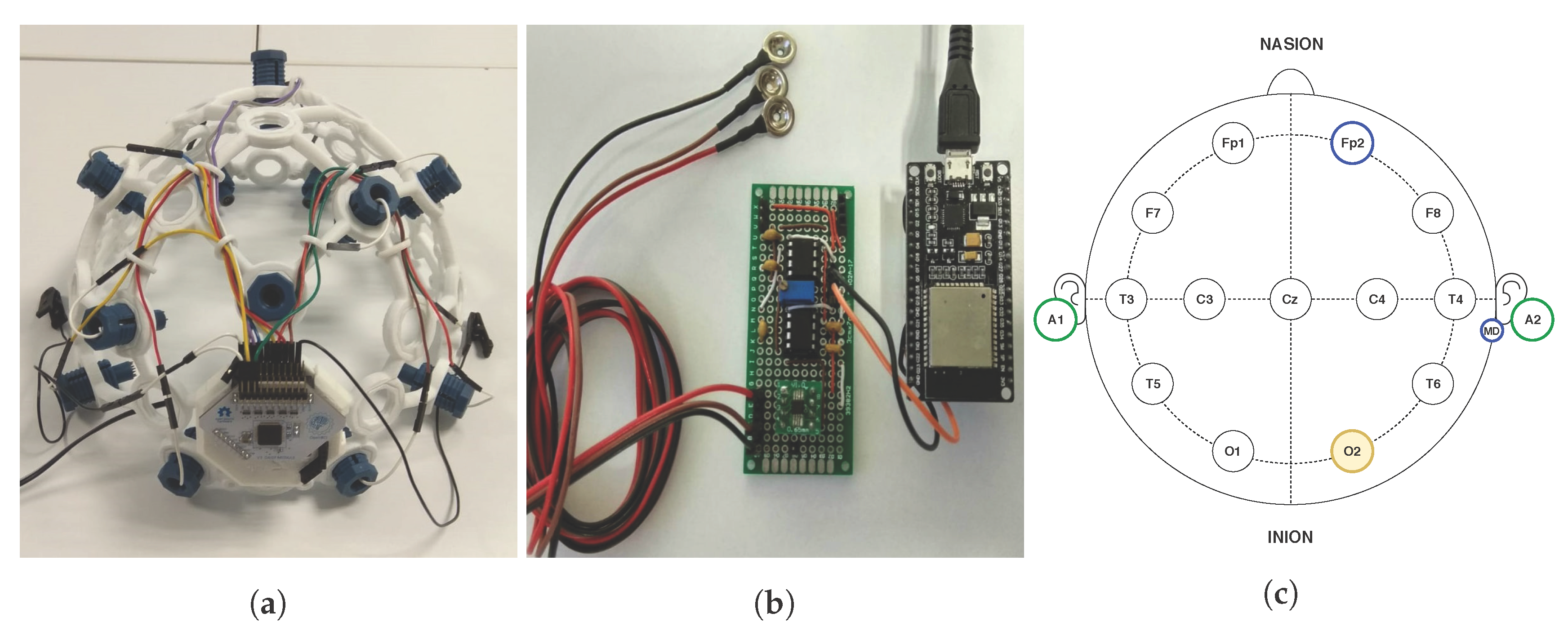 Proceedings 21 00040 g001