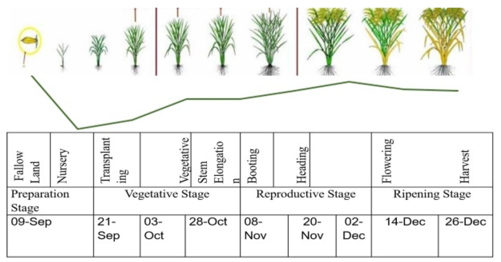 Proceedings 24 00004 g004