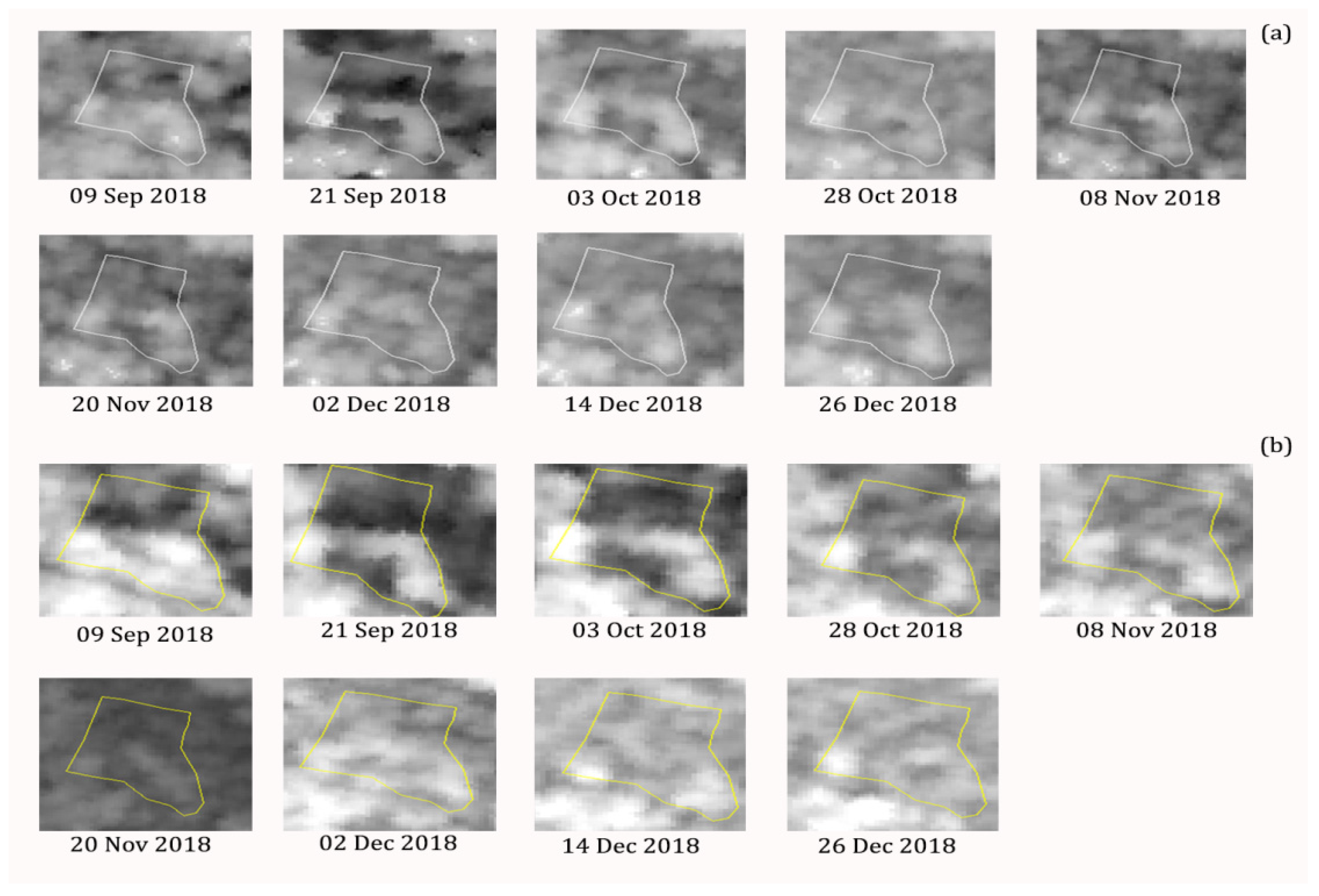 Proceedings 24 00004 g005