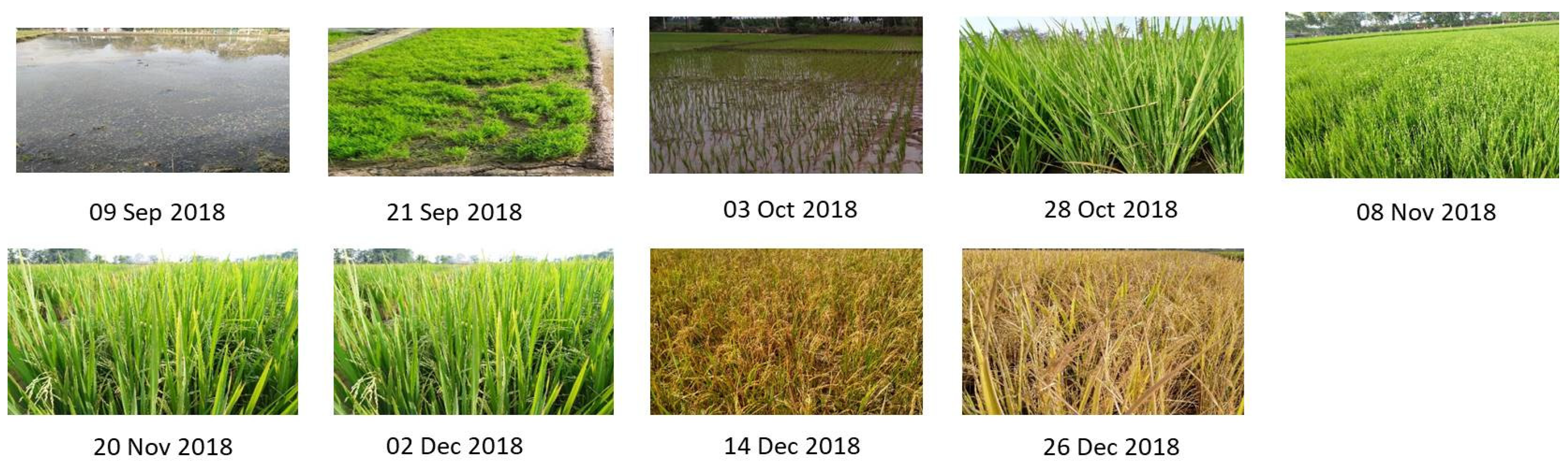 Proceedings 24 00004 g006