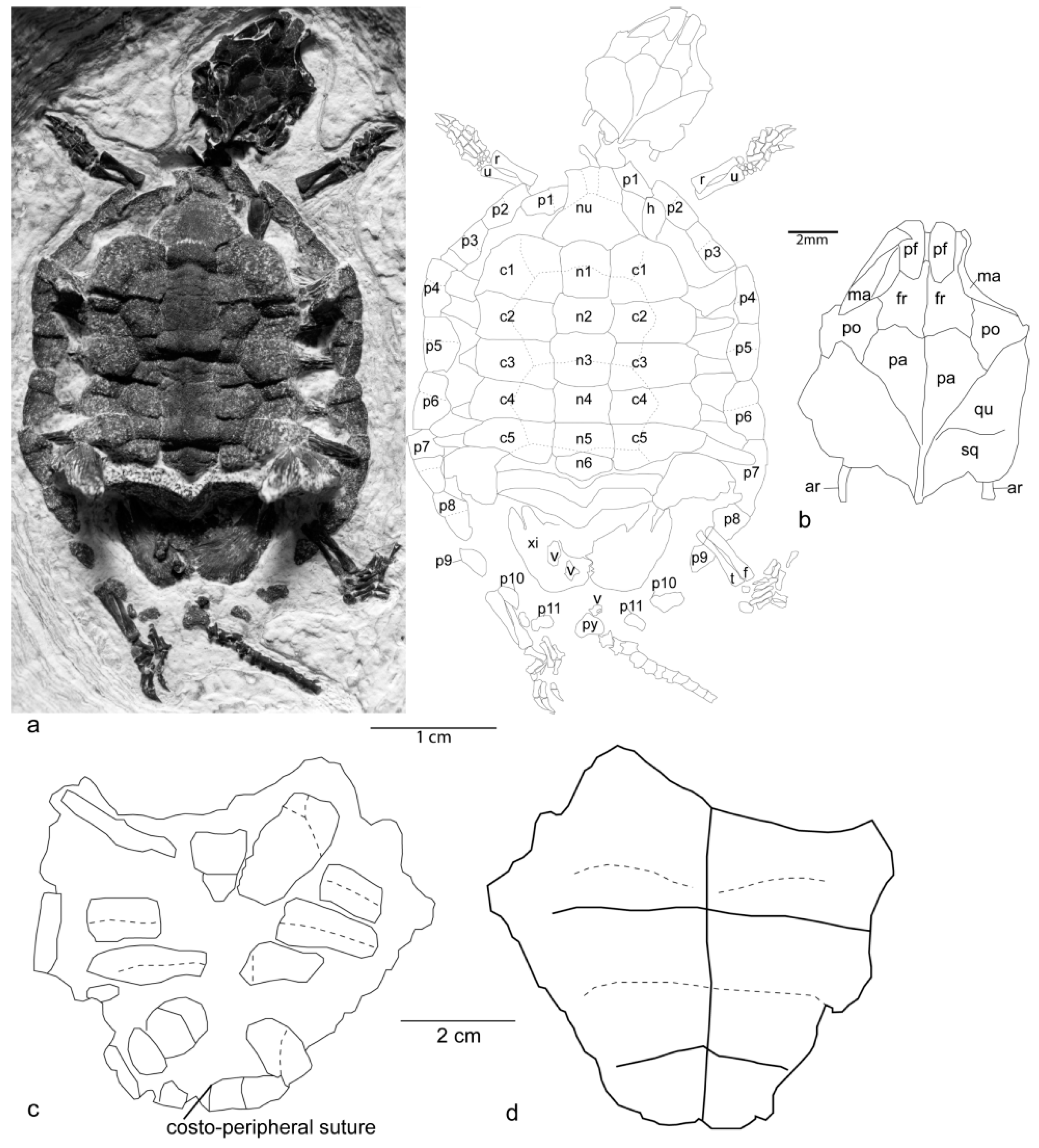 Proceedings 24 00024 g001
