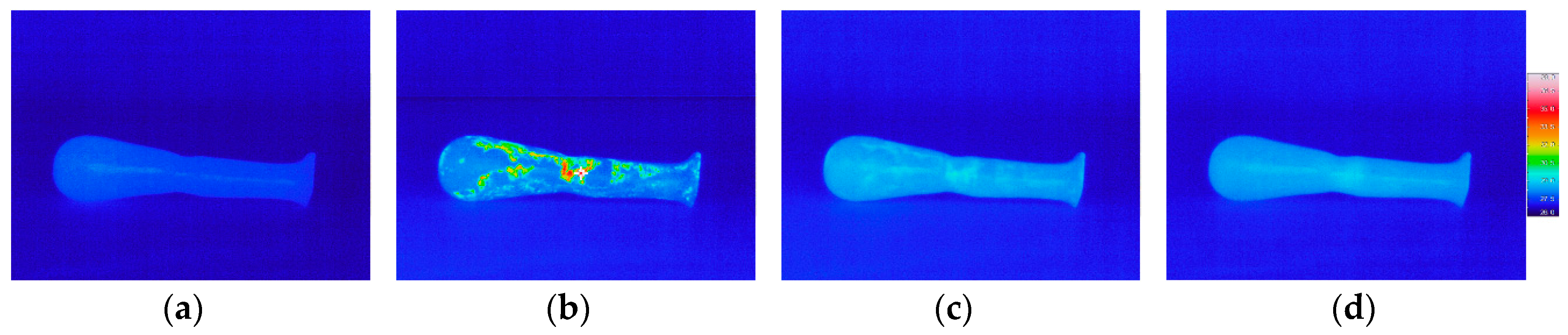 Proceedings 27 00005 g003