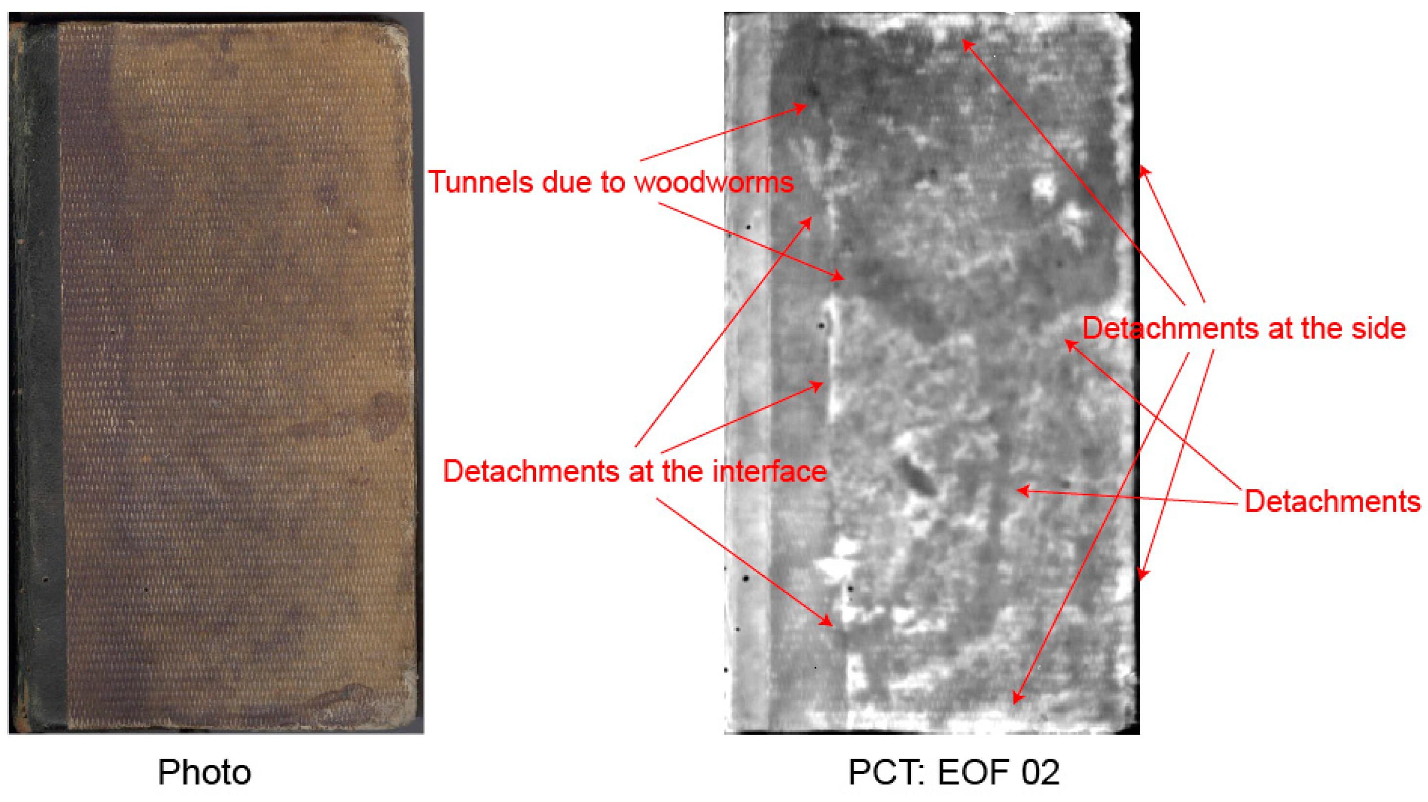 Proceedings 27 00009 g003