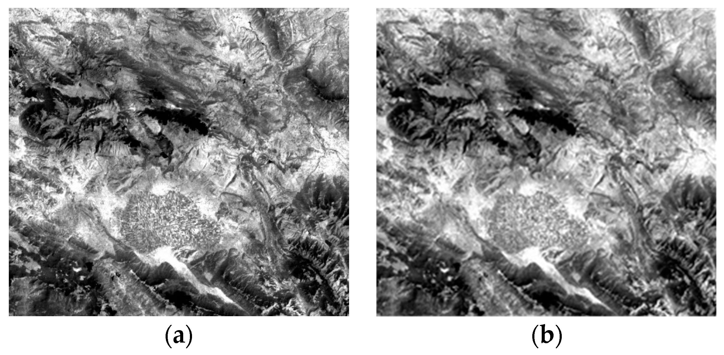 Proceedings 27 00010 g002