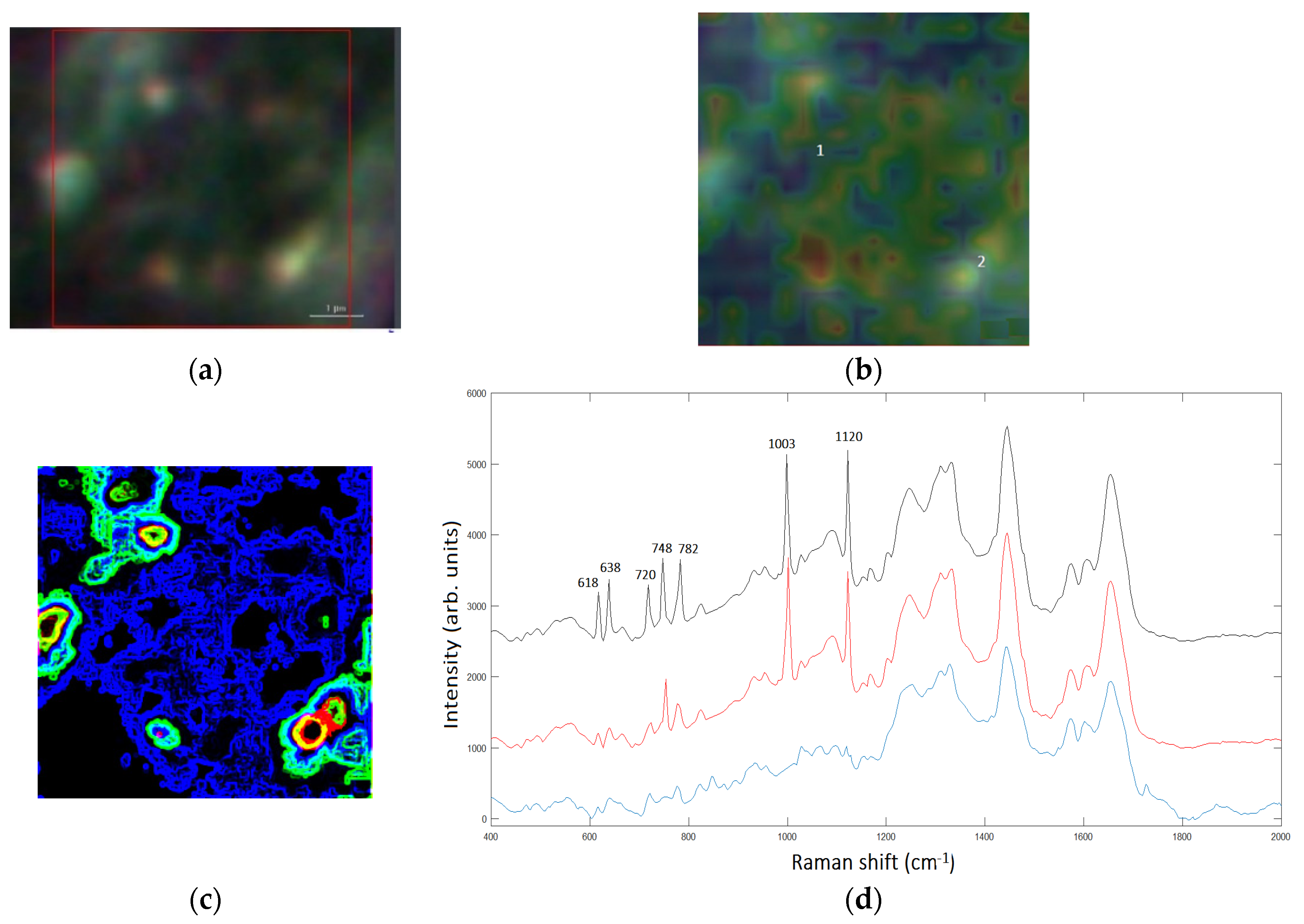 Proceedings 27 00014 g001