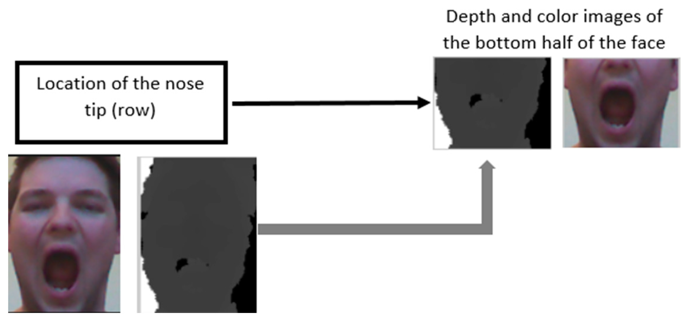 Proceedings 27 00022 g003
