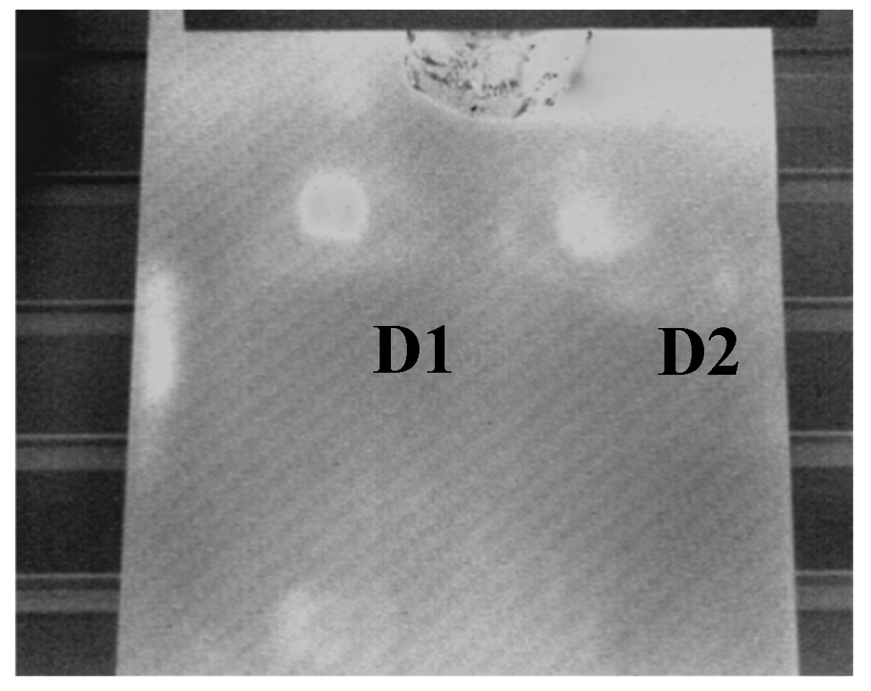 Proceedings 27 00030 g002