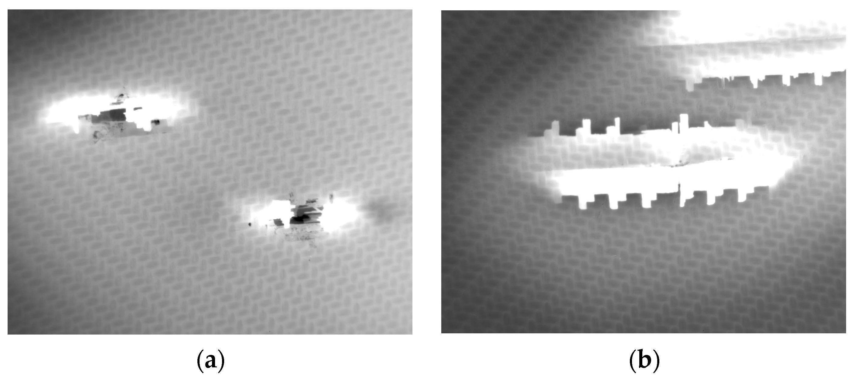 Proceedings 27 00030 g003