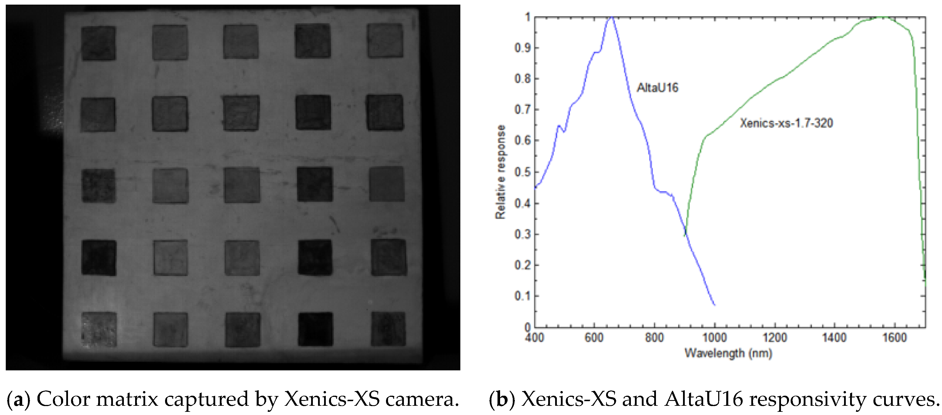 Proceedings 27 00039 g003
