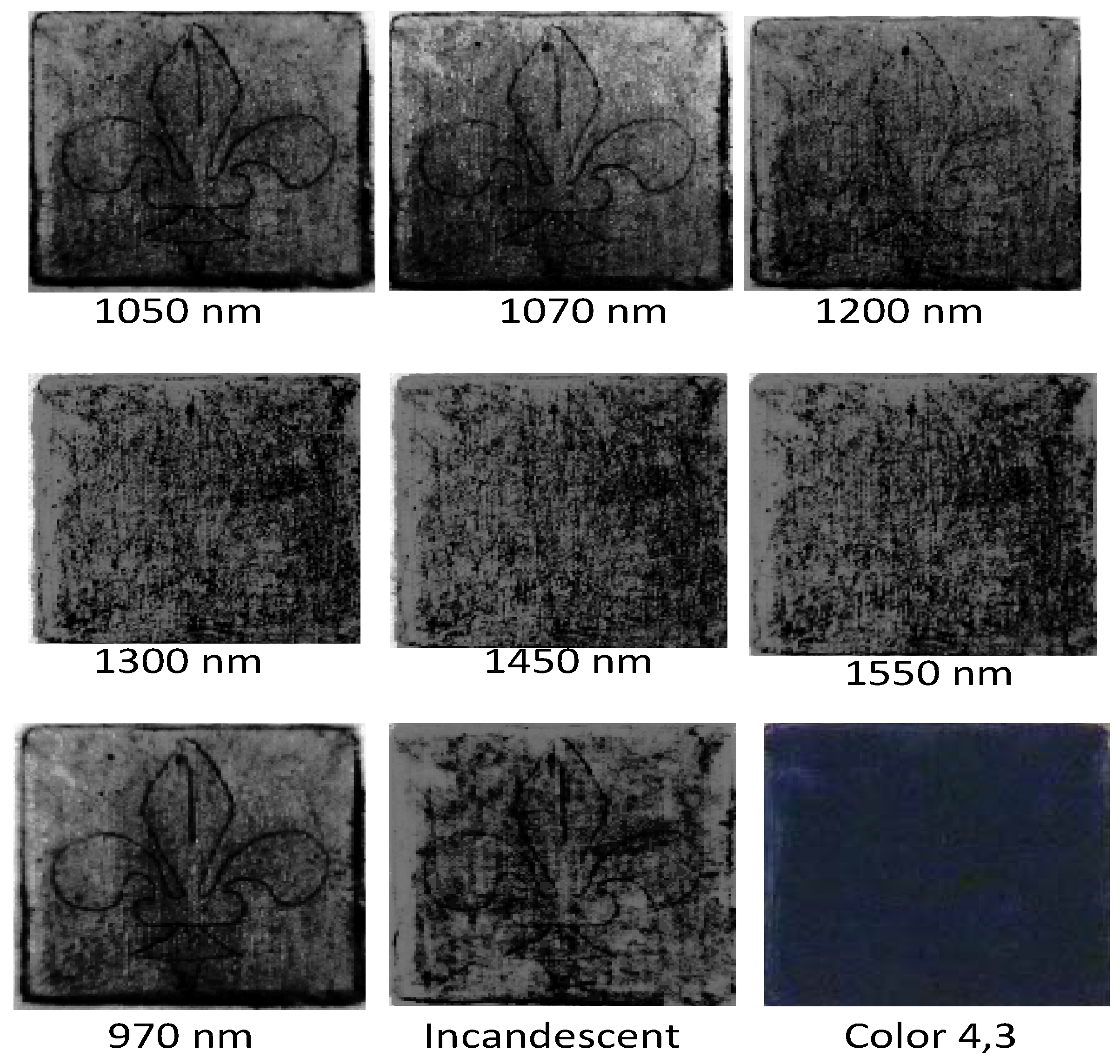 Proceedings 27 00039 g005