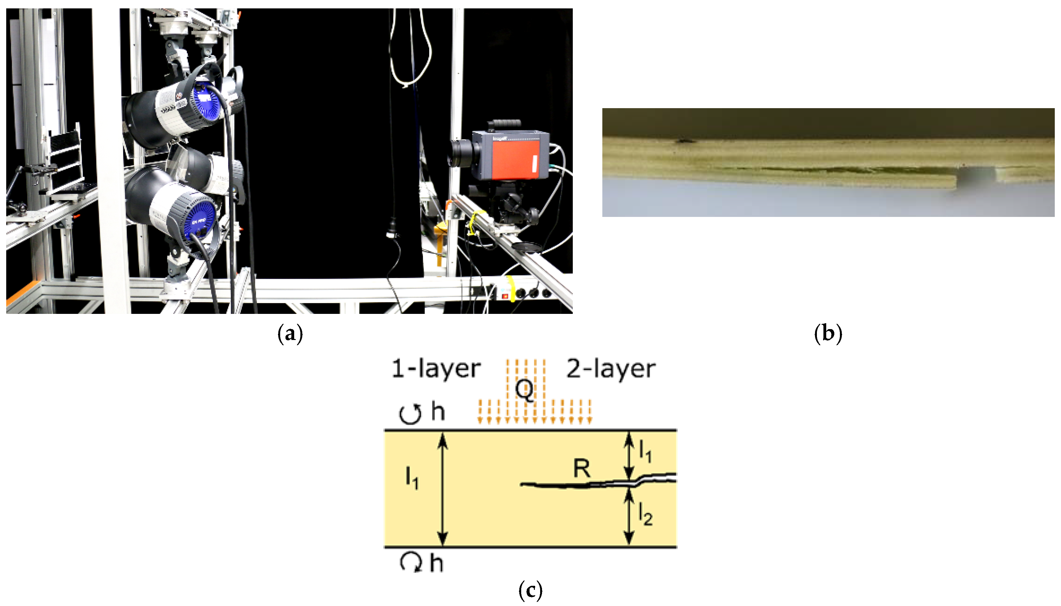 Proceedings 27 00040 g001