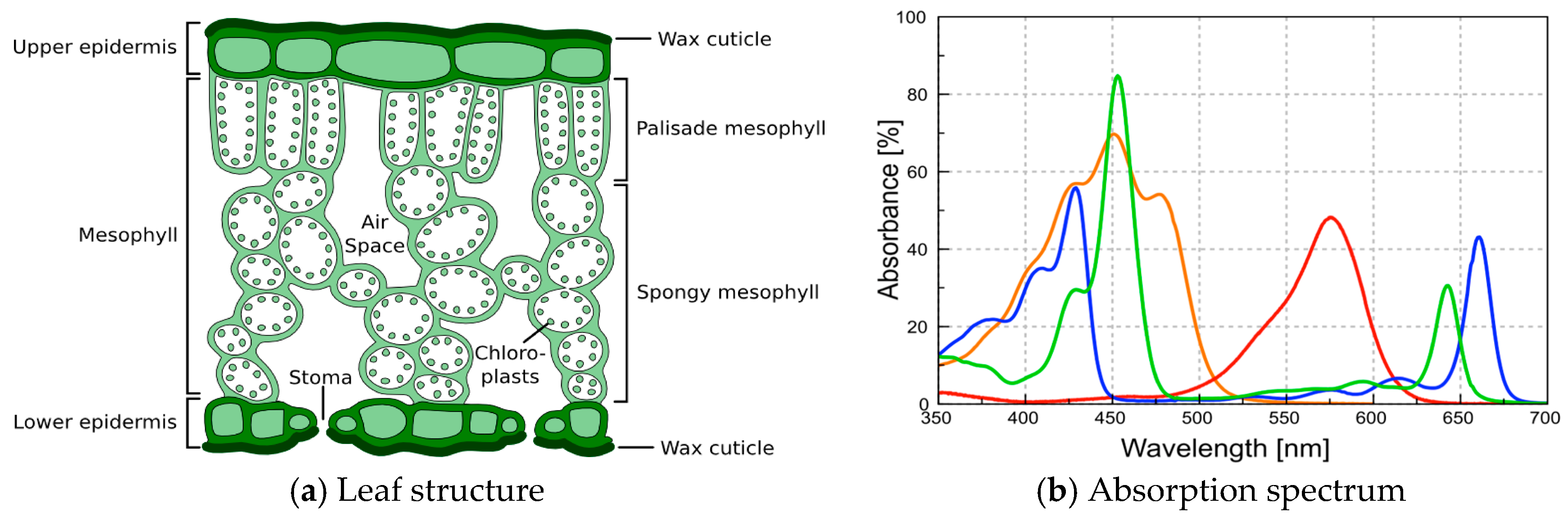 Proceedings 27 00043 g001