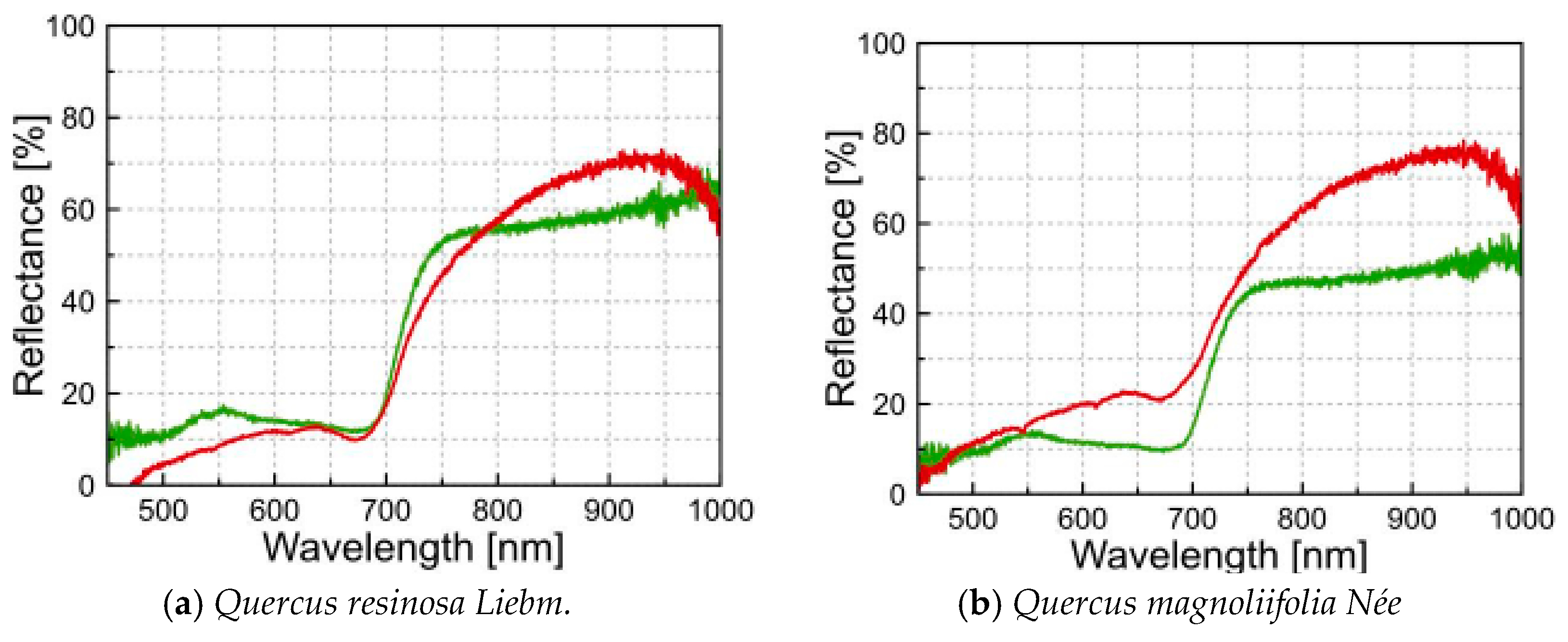 Proceedings 27 00043 g002