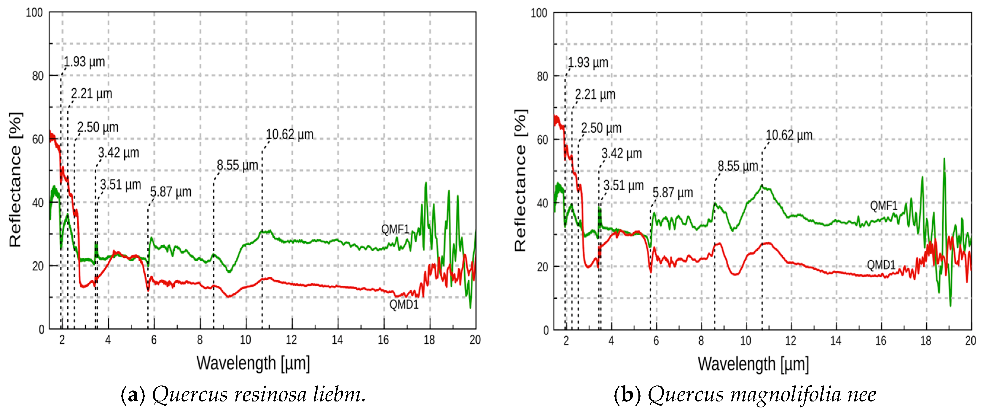 Proceedings 27 00043 g003