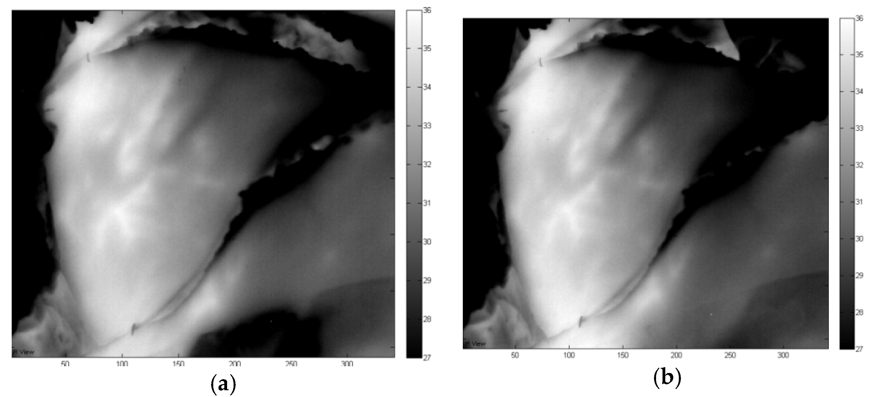 Proceedings 27 00048 g003