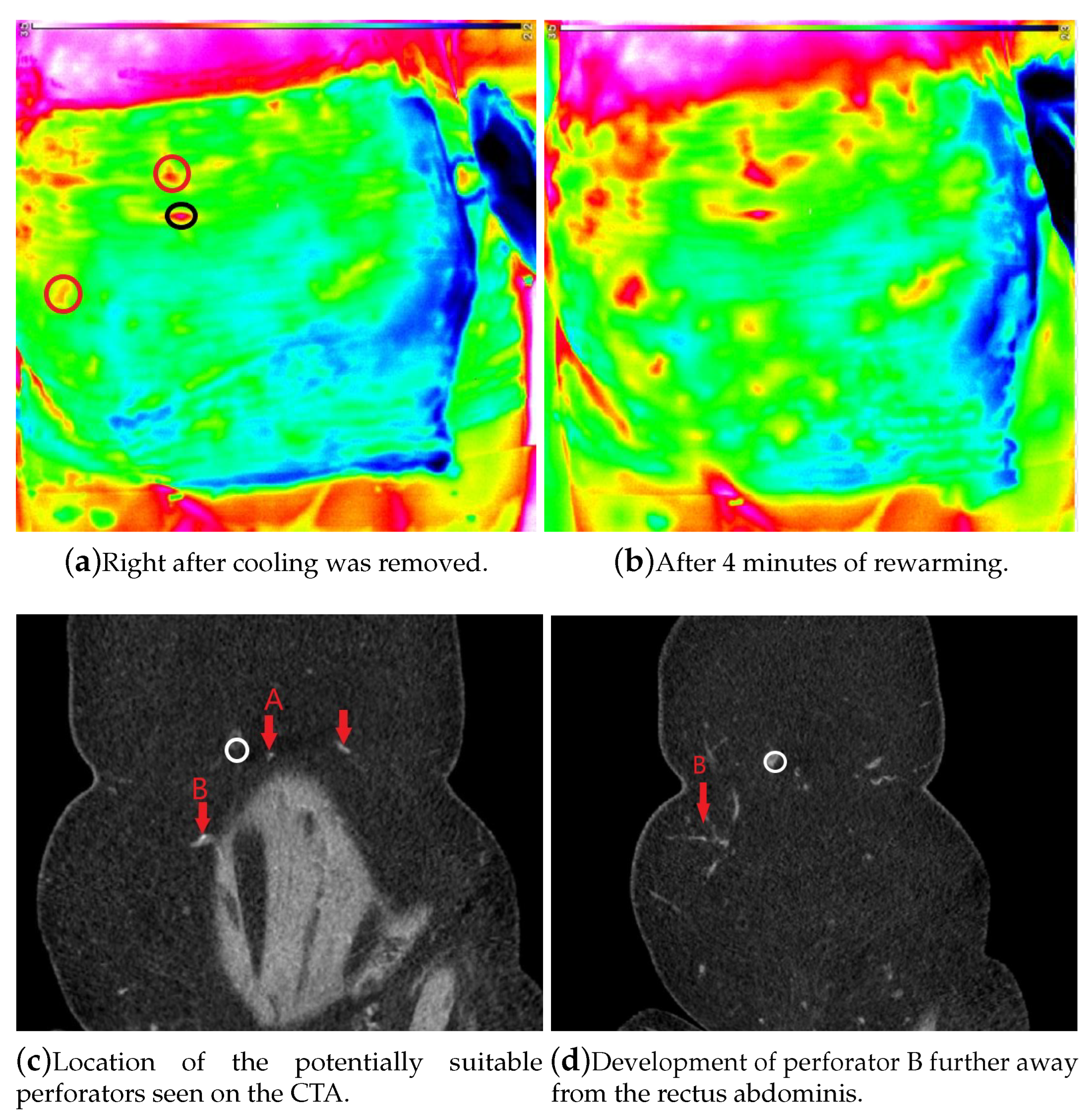 Proceedings 27 00049 g001