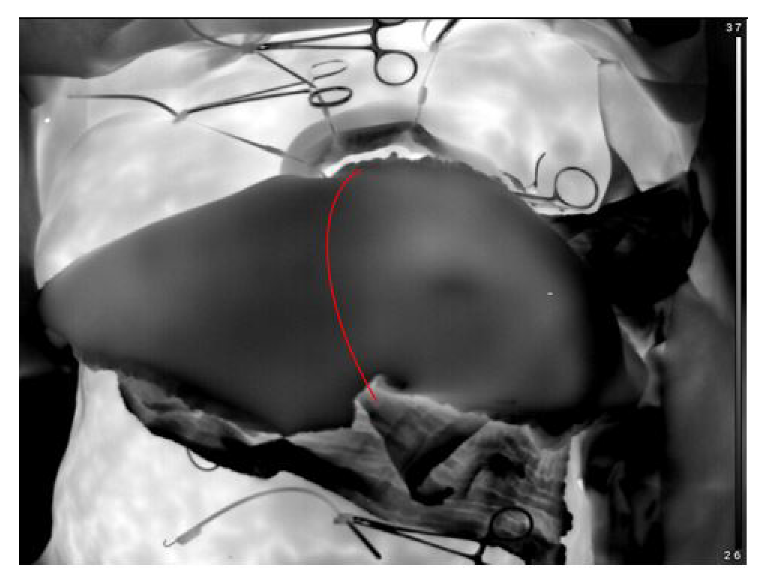 Proceedings 27 00049 g003