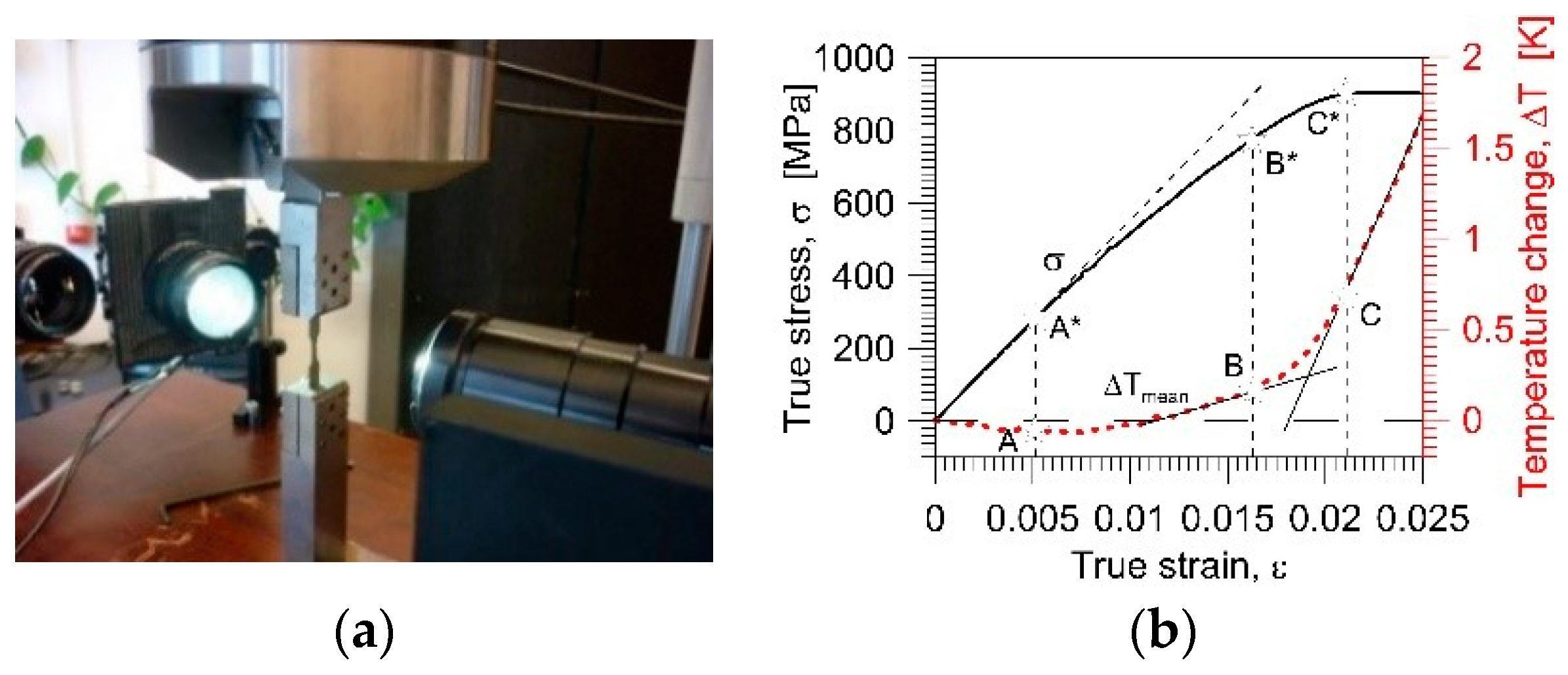 Proceedings 27 00051 g001