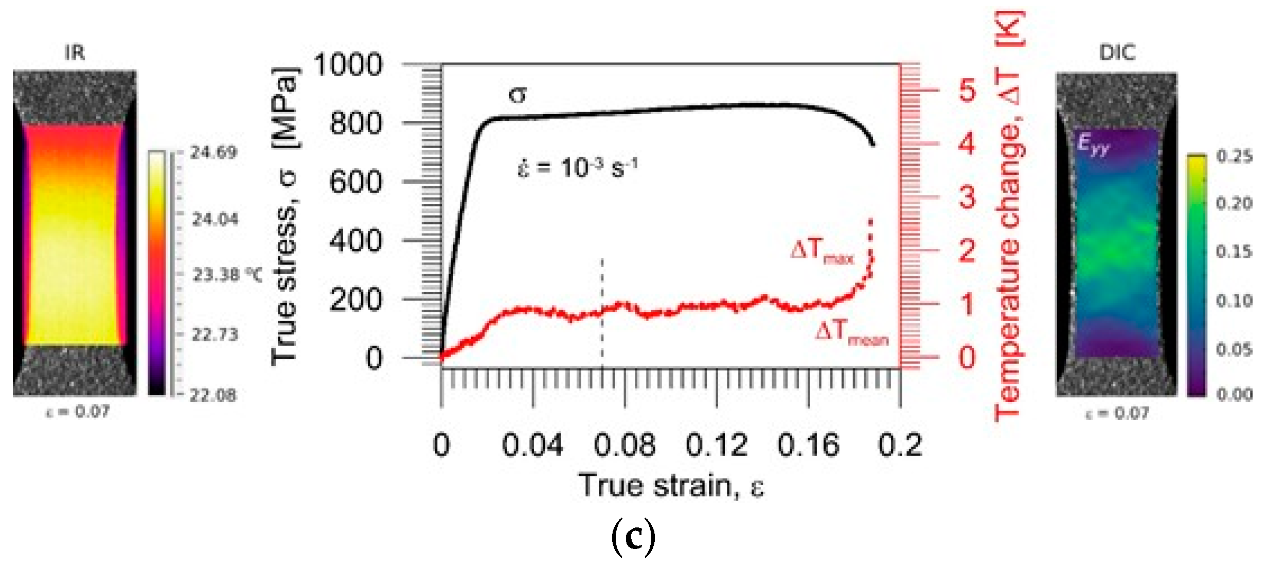 Proceedings 27 00051 g002b