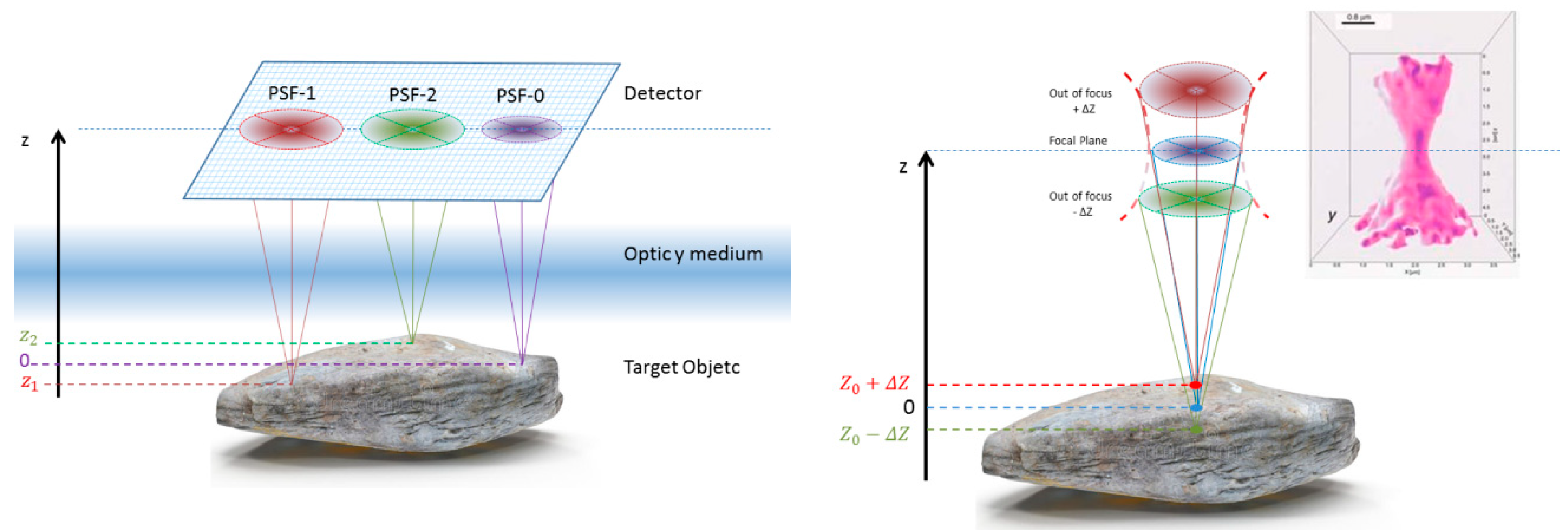 Proceedings 27 00052 g001