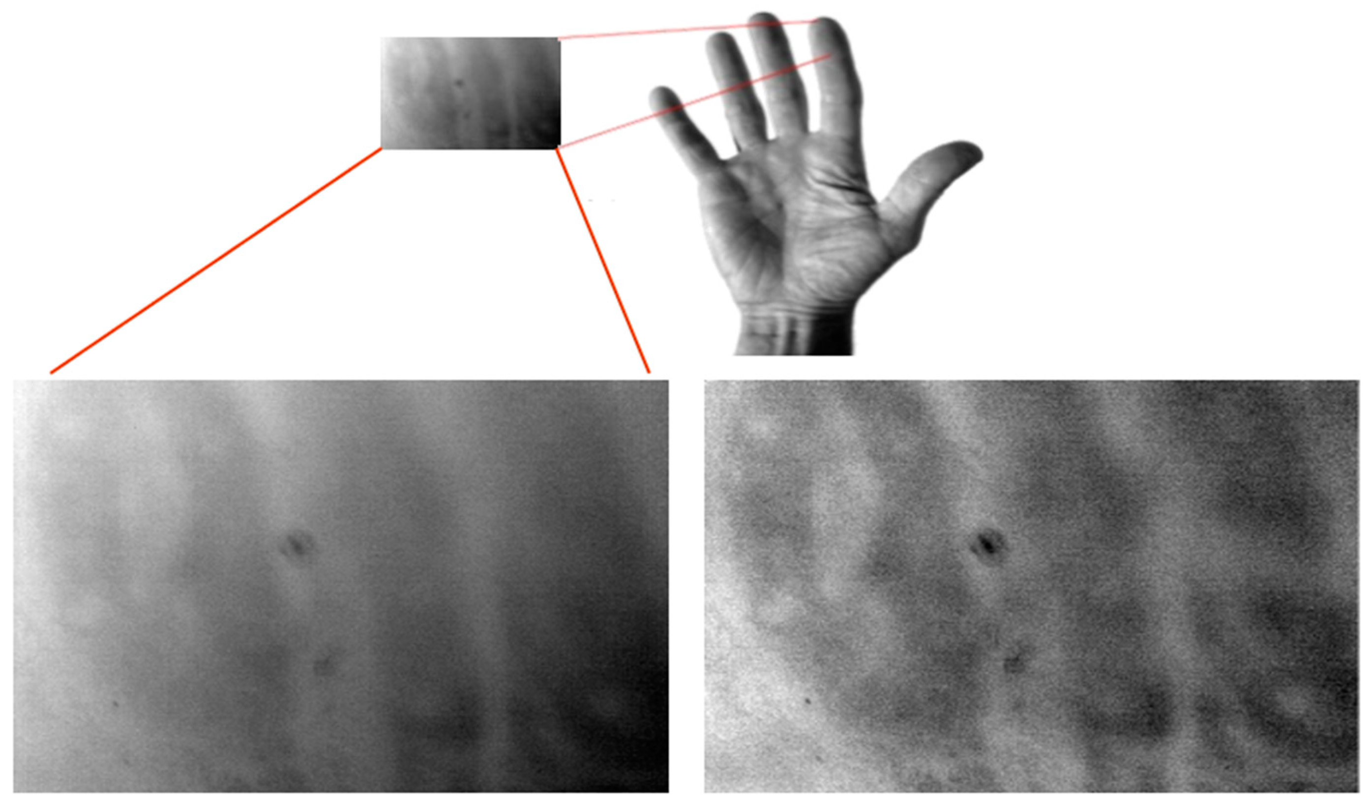 Proceedings 27 00052 g003