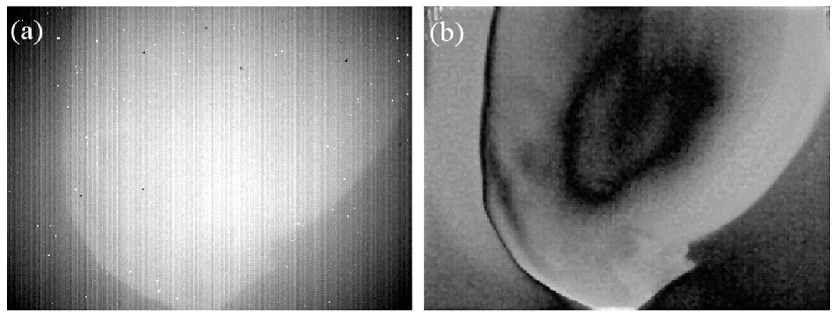 Proceedings 27 00052 g004