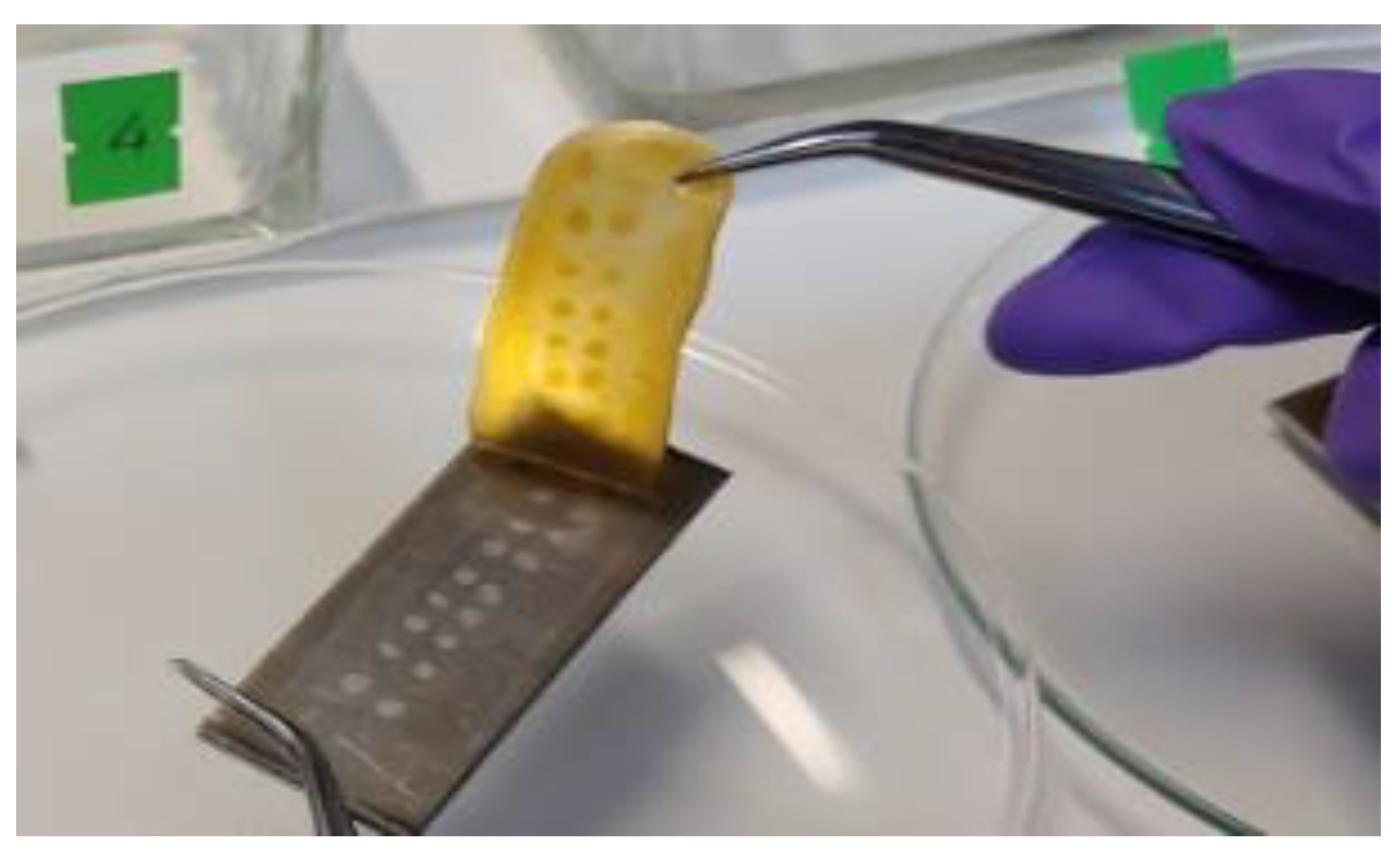 Proceedings 29 00005 g001