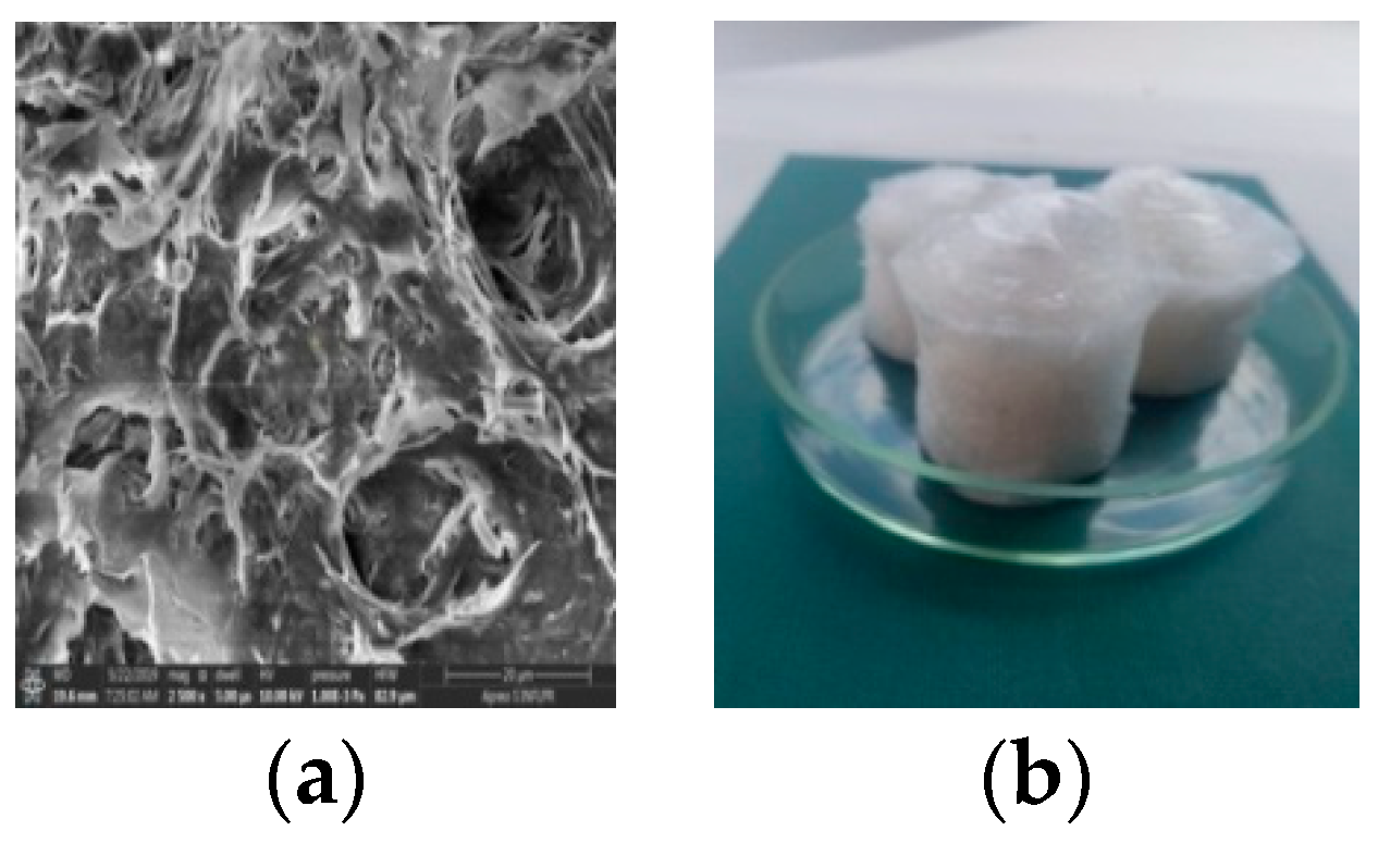 Proceedings 29 00008 g001