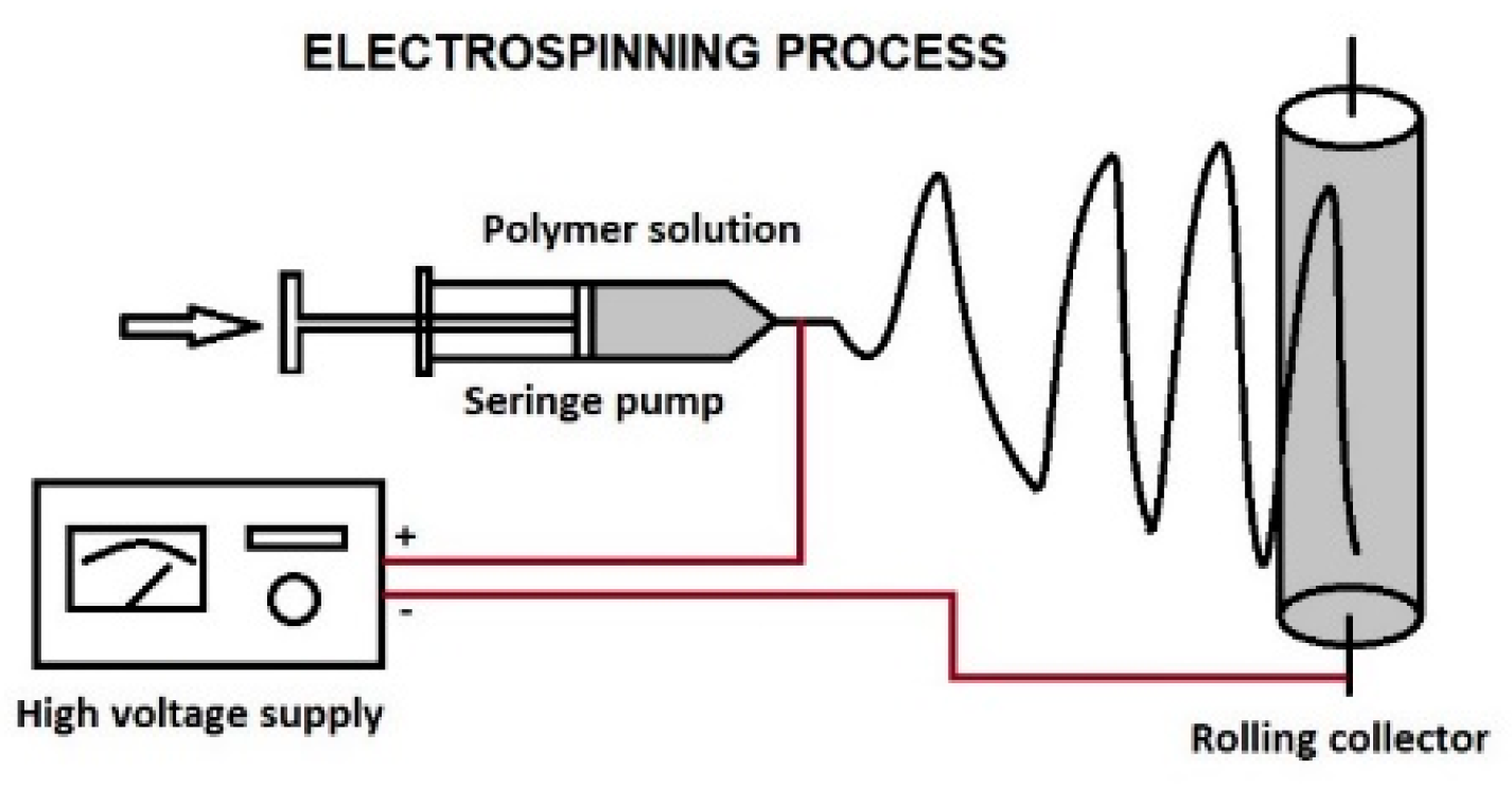 Proceedings 29 00012 g001