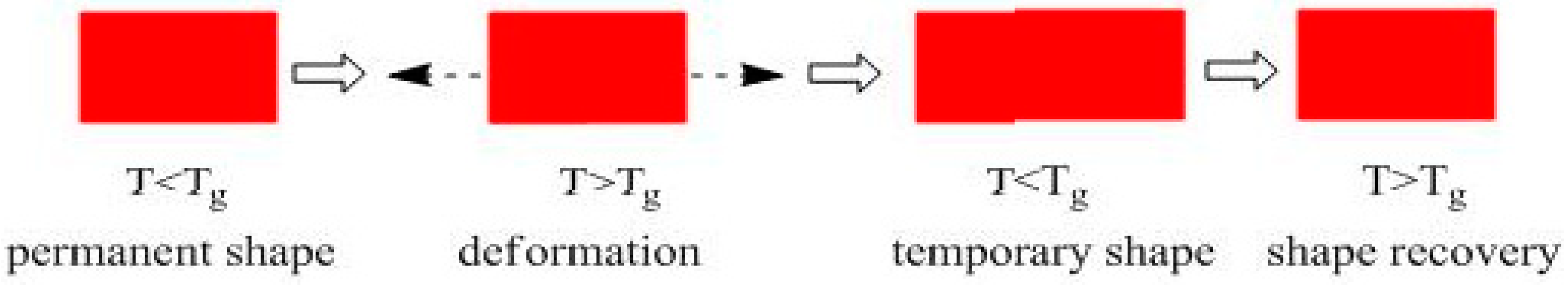 Proceedings 29 00022 g002