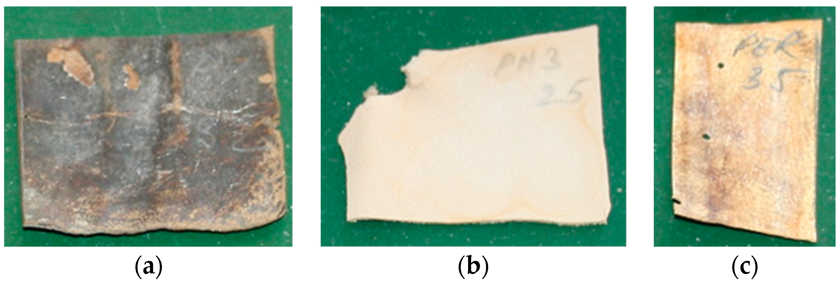 Proceedings 29 00036 g001
