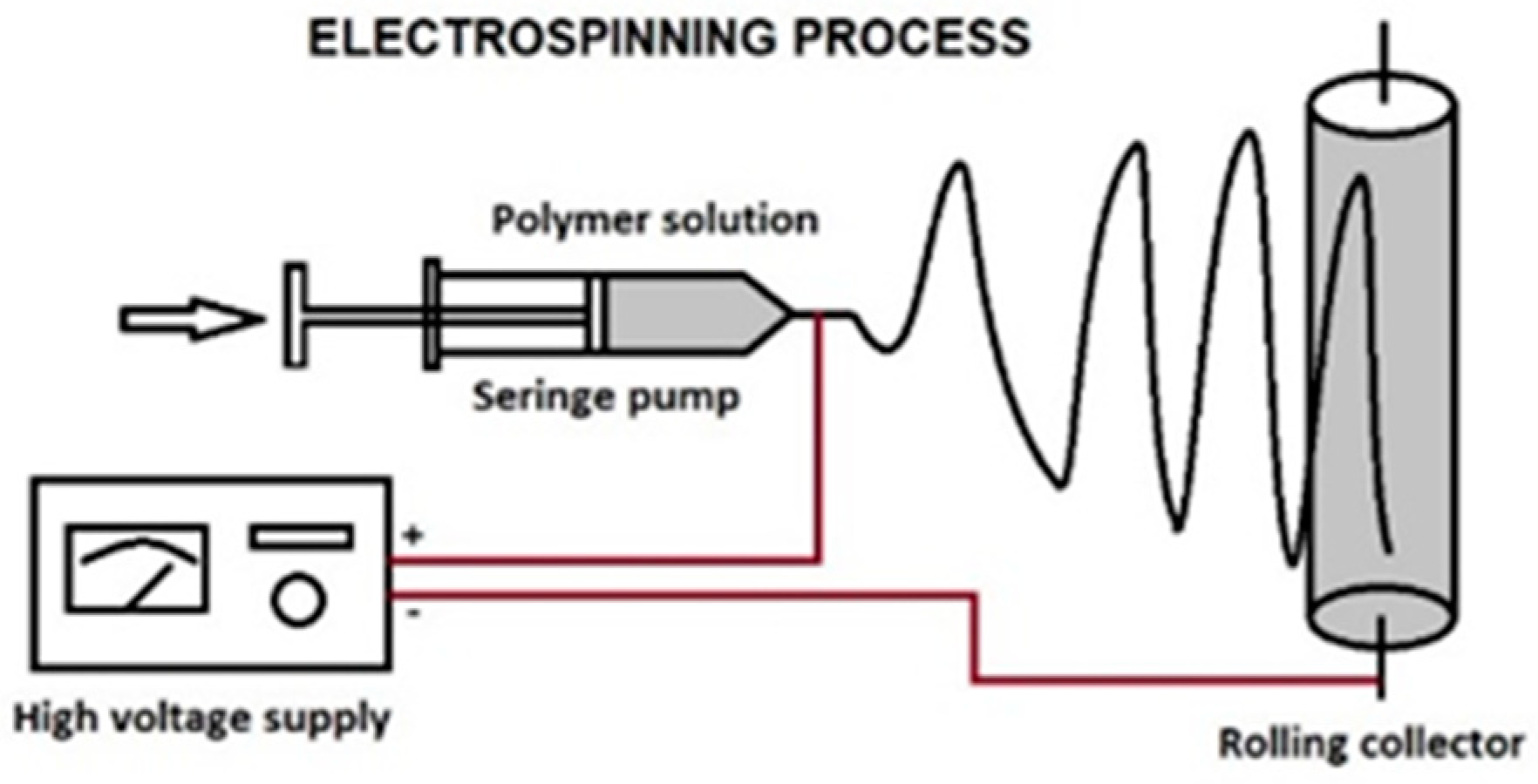 Proceedings 29 00084 g001