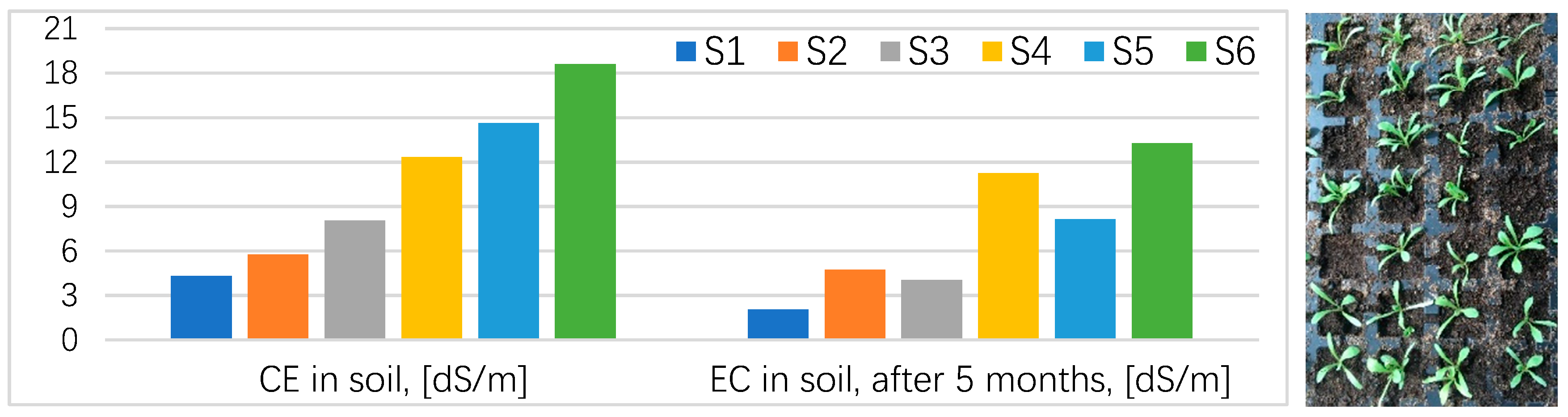 Proceedings 29 00093 g001