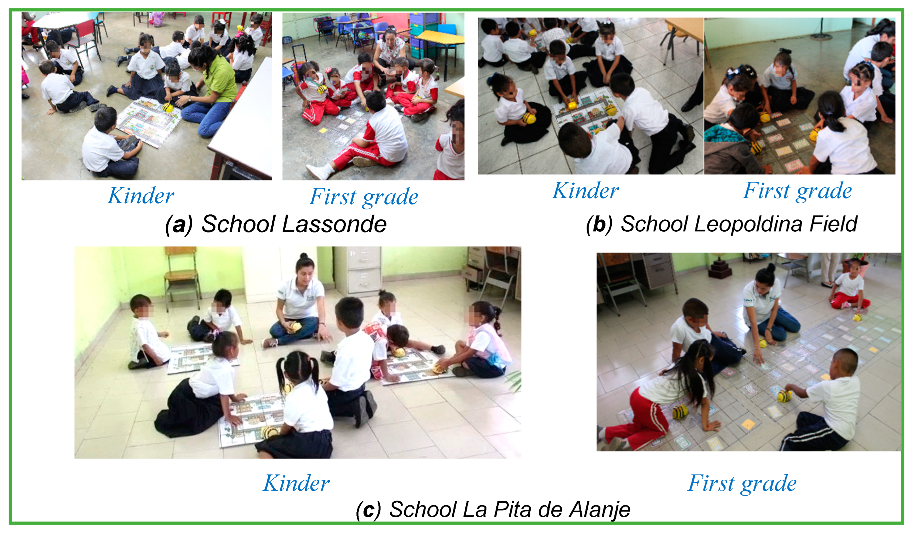 Proceedings 31 00005 g005