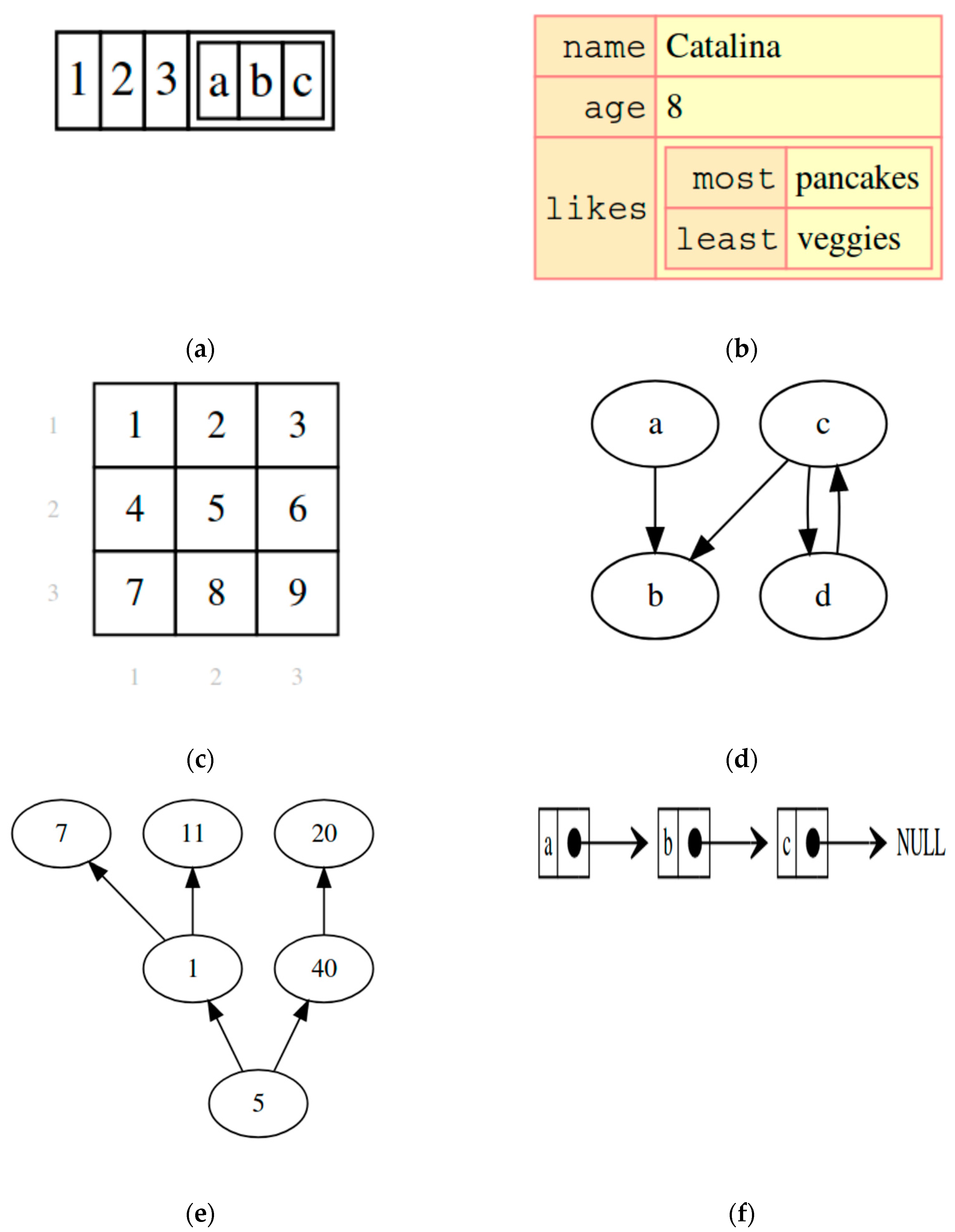 Supporting Data Structures Visualization for Teachers and Learners