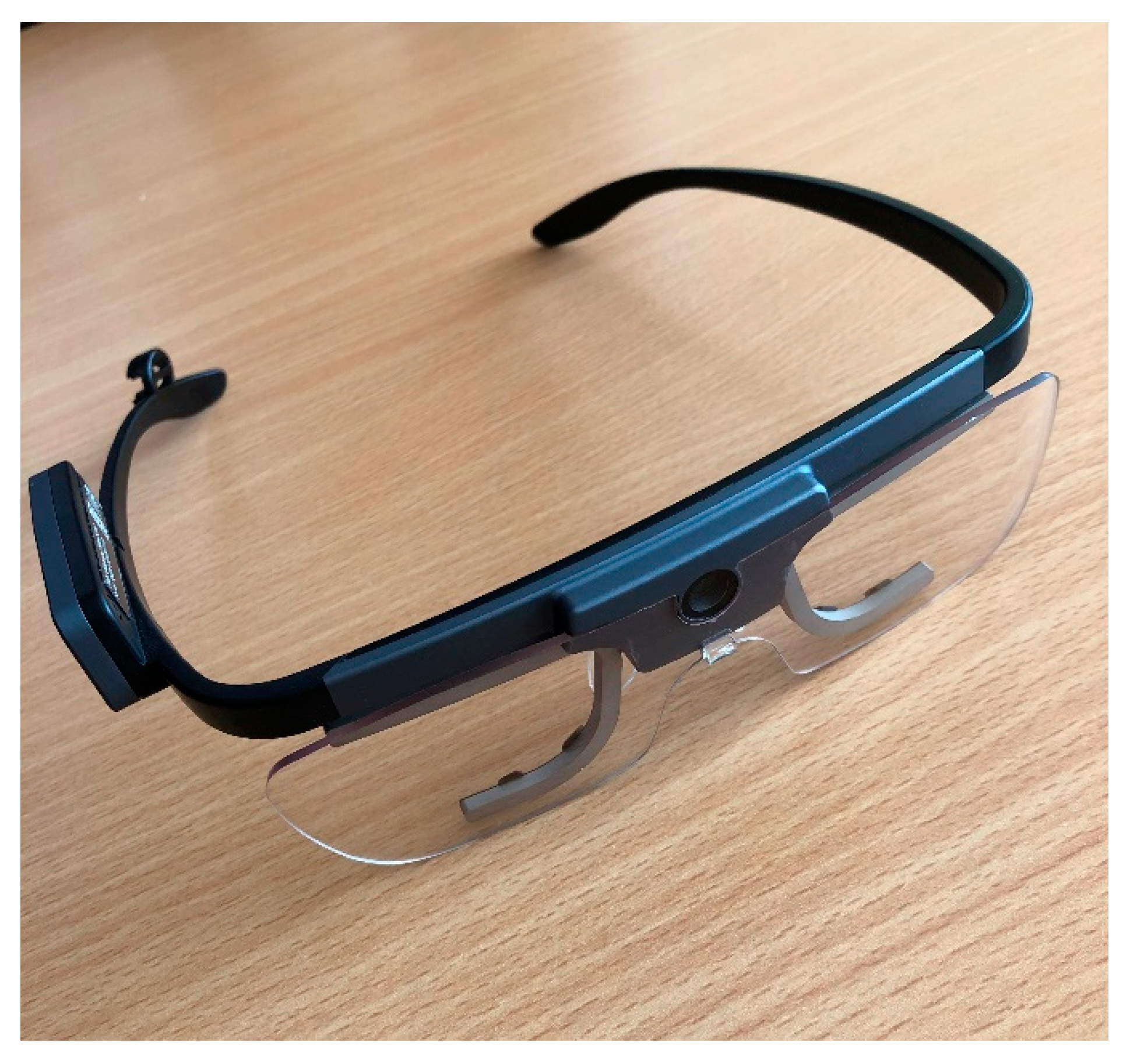 Proceedings 31 00011 g006