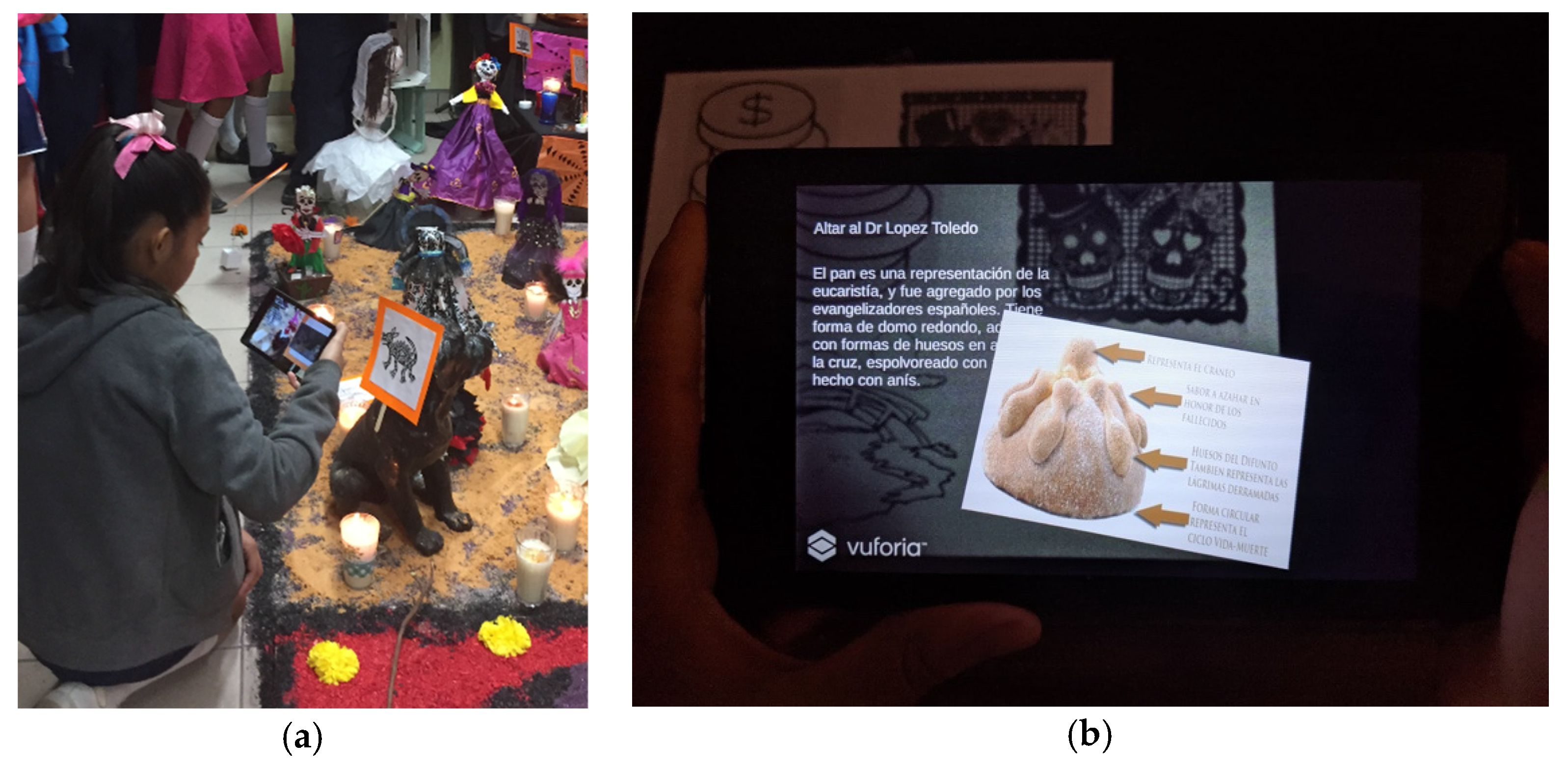 Proceedings 31 00016 g001