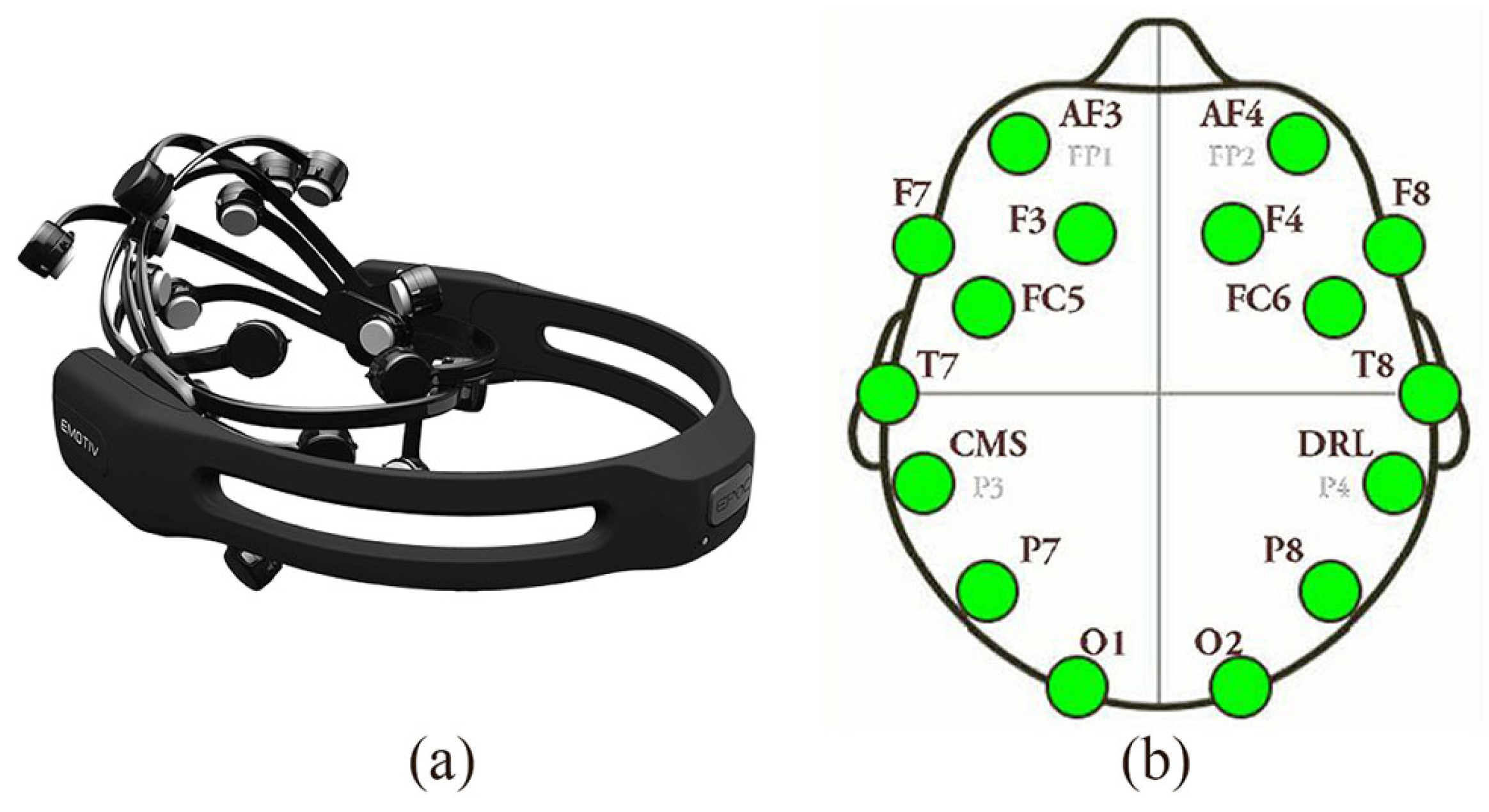 Proceedings 31 00033 g001