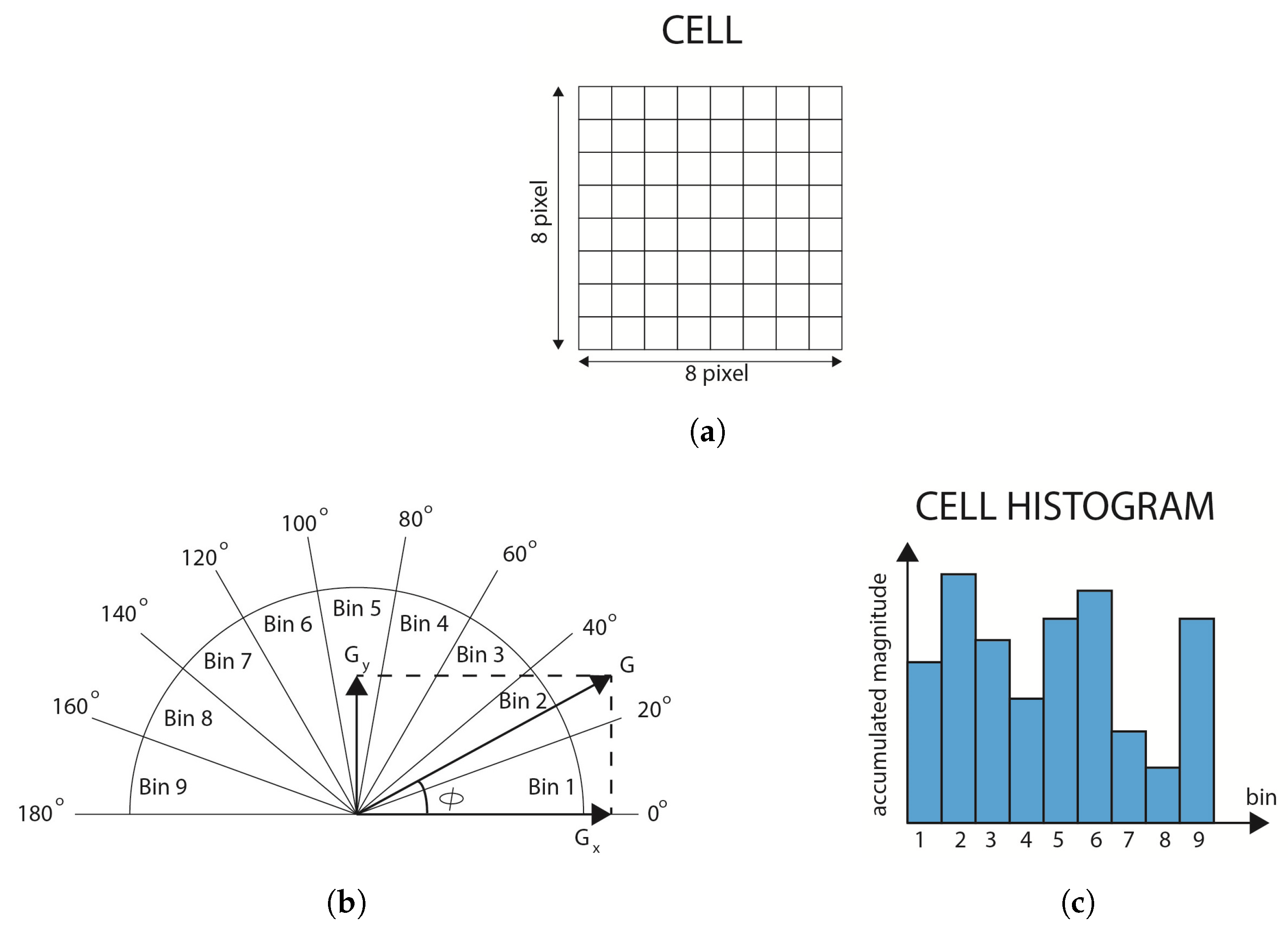 Proceedings 31 00035 g001