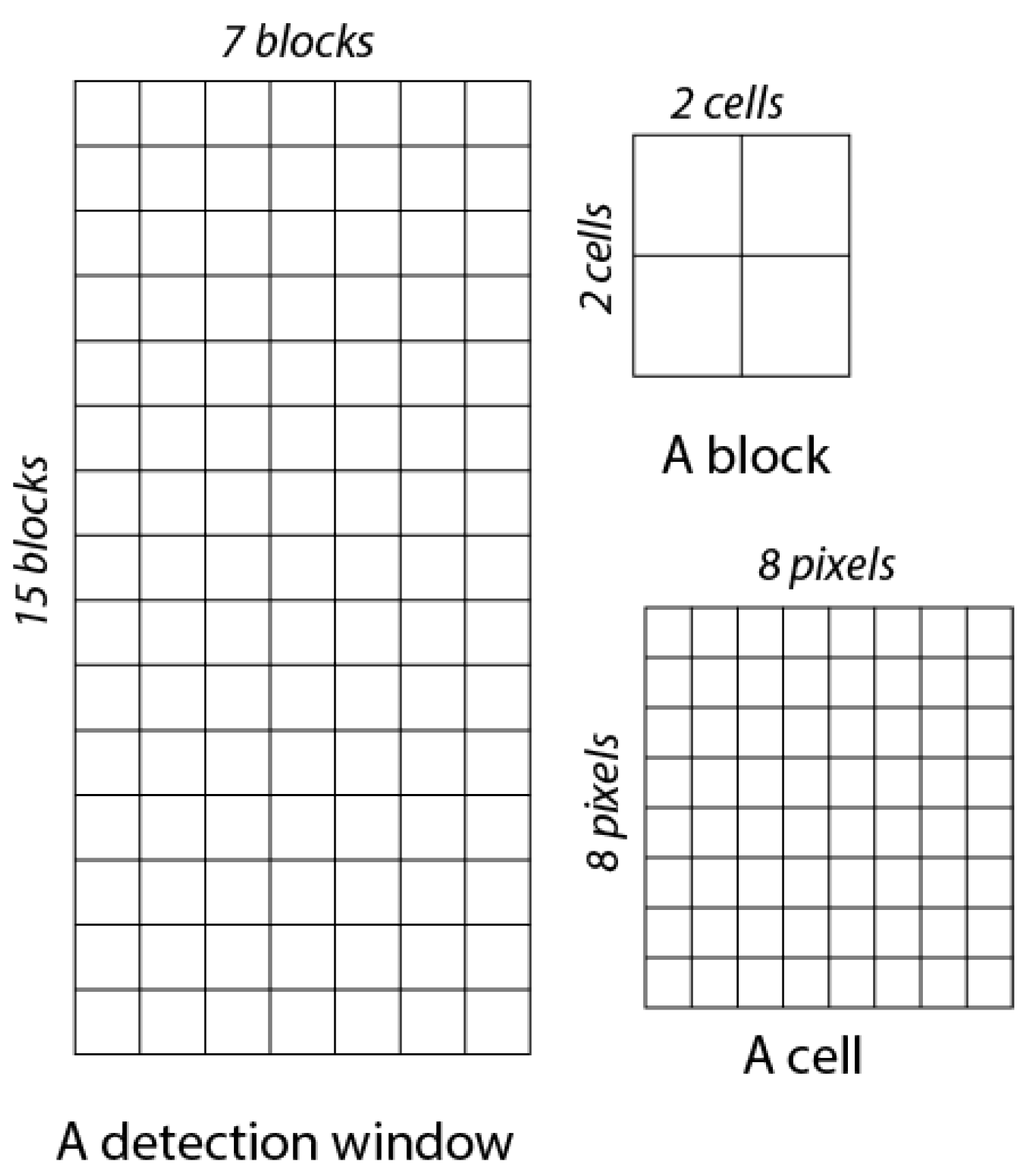 Proceedings 31 00035 g007