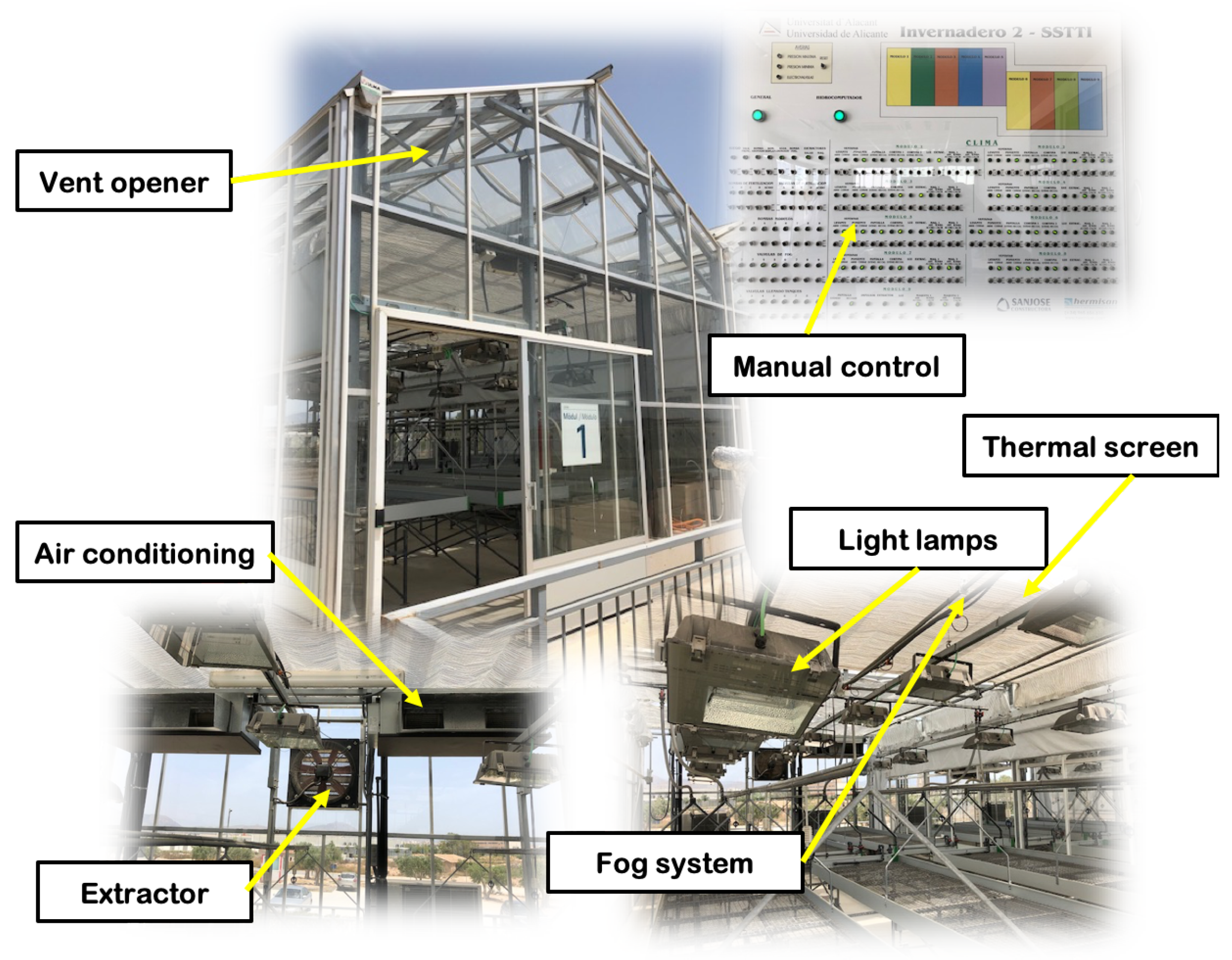 Proceedings 31 00036 g003