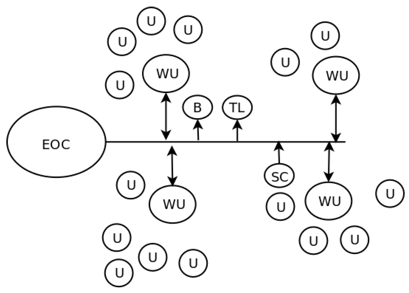 Proceedings 31 00038 g001