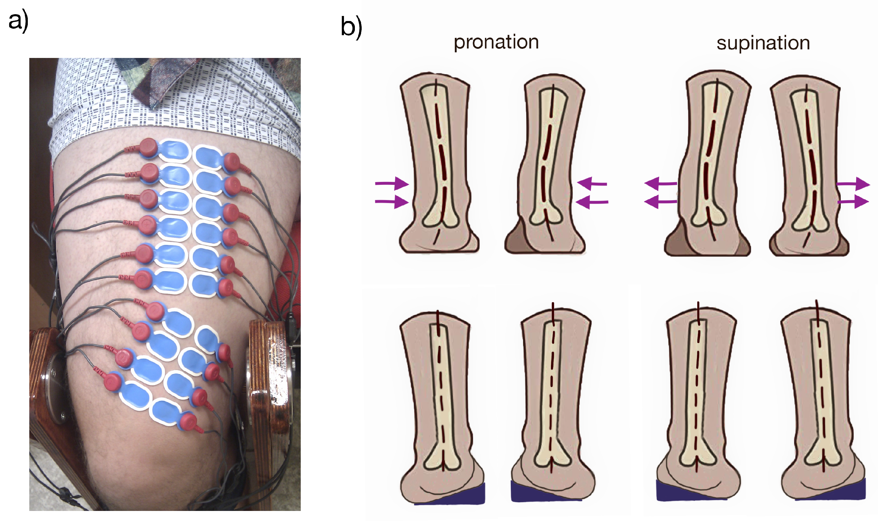 Proceedings 31 00045 g001