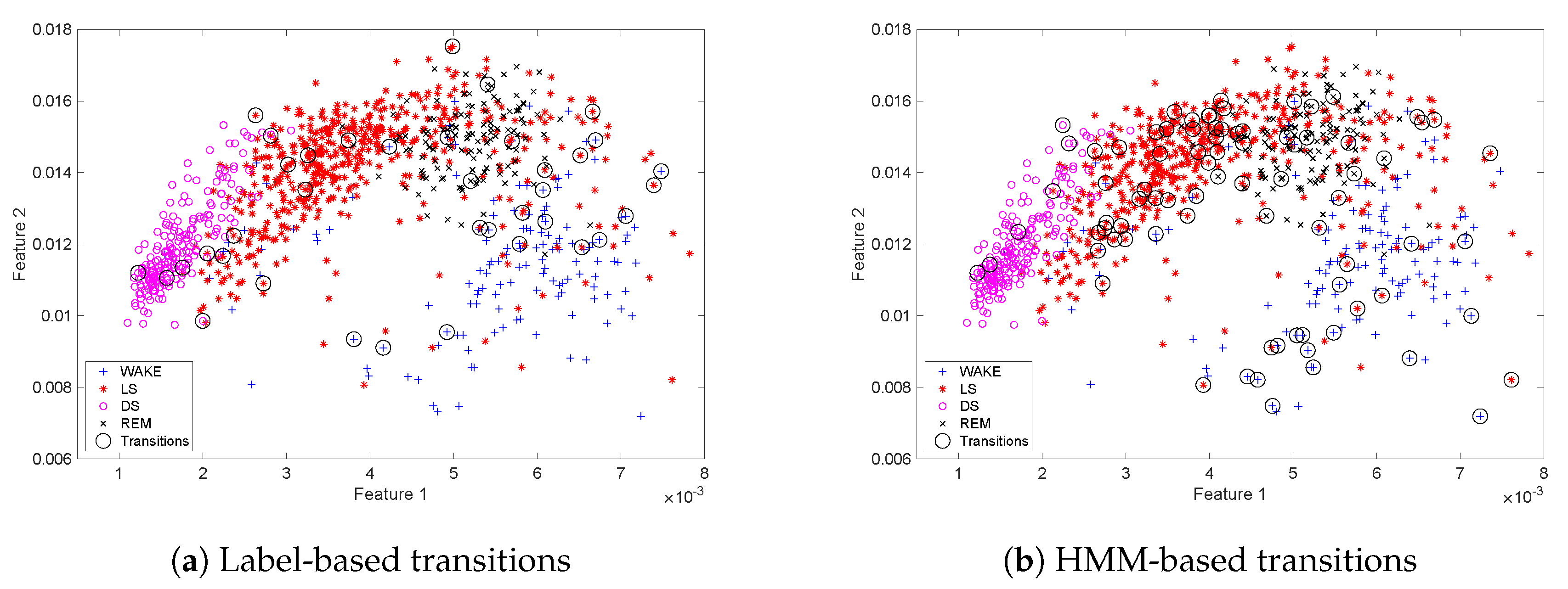 Proceedings 31 00046 g003