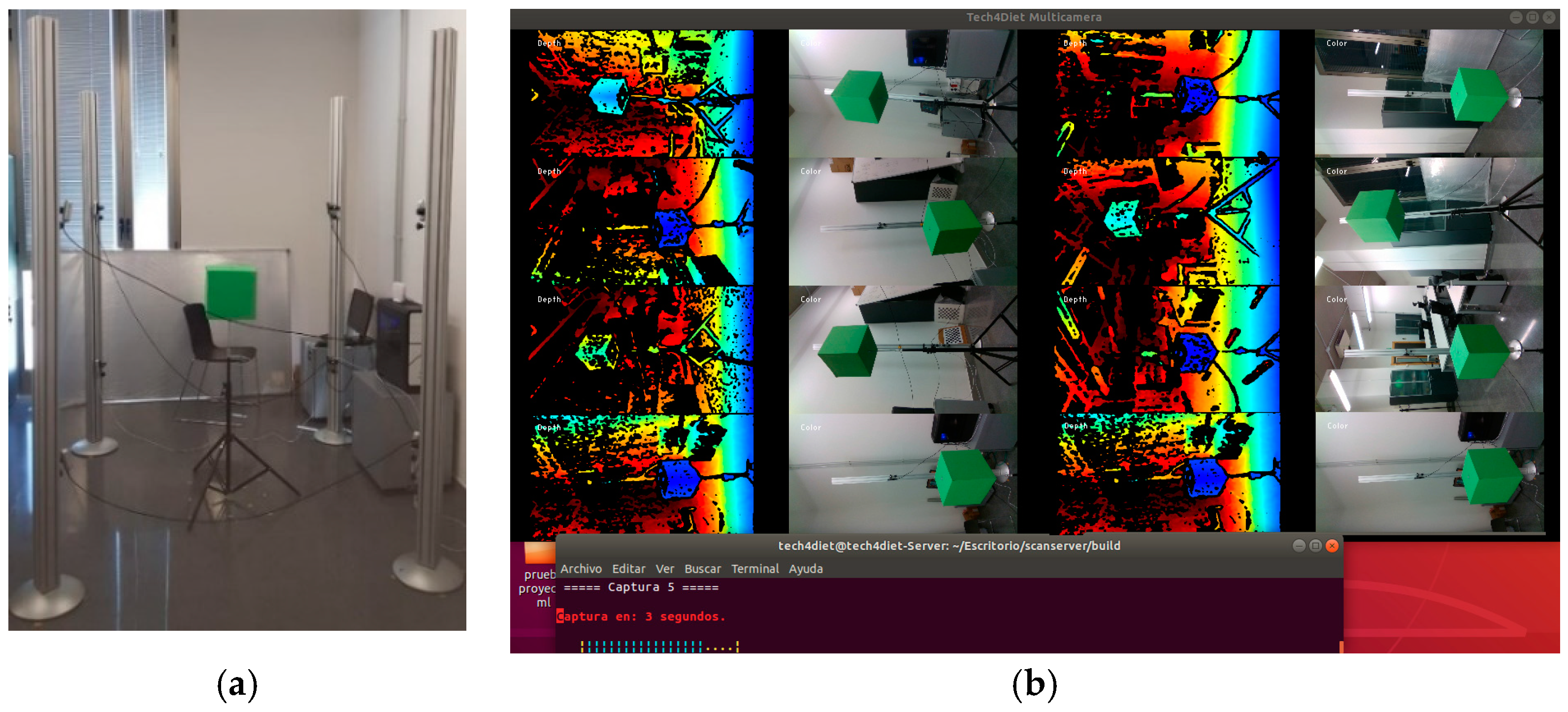 Proceedings 31 00053 g002