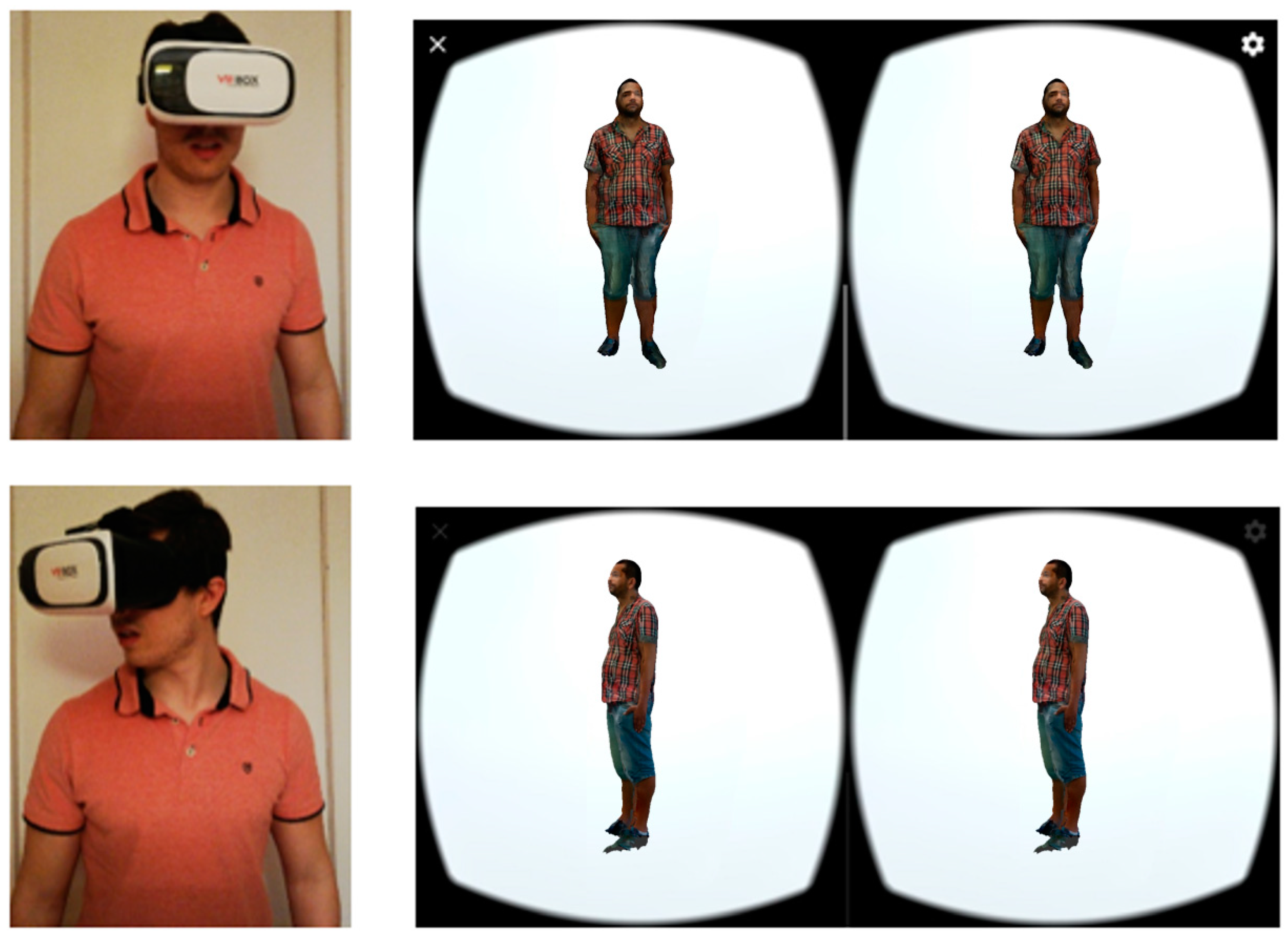 Proceedings 31 00053 g006