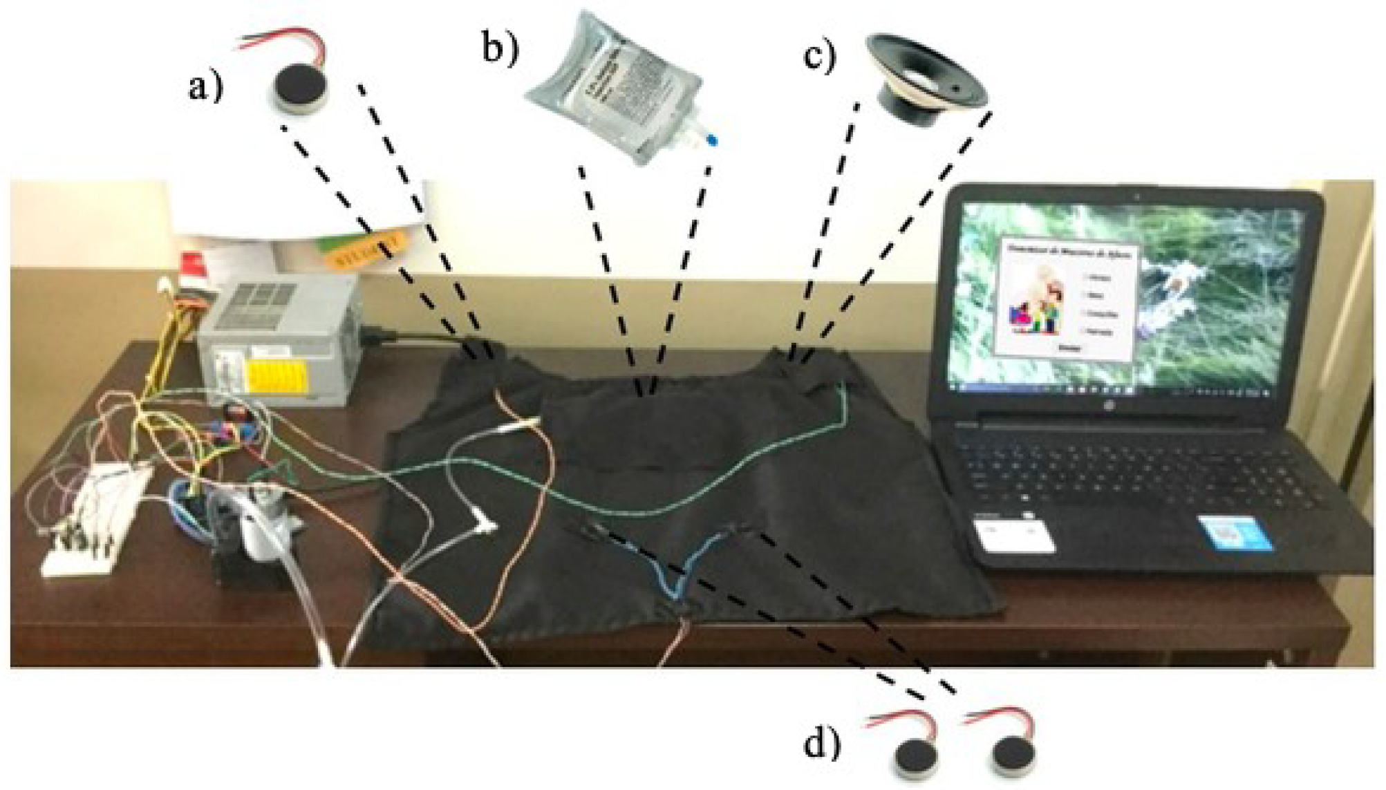 Proceedings 31 00066 g001